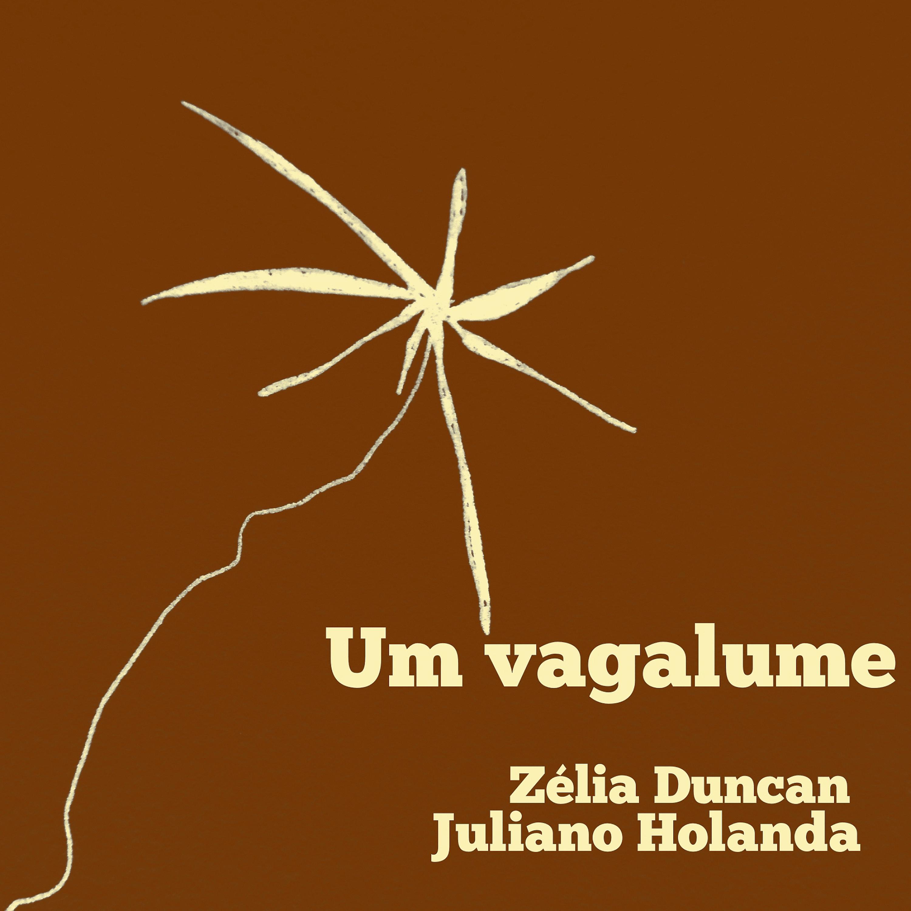Постер альбома Um Vagalume