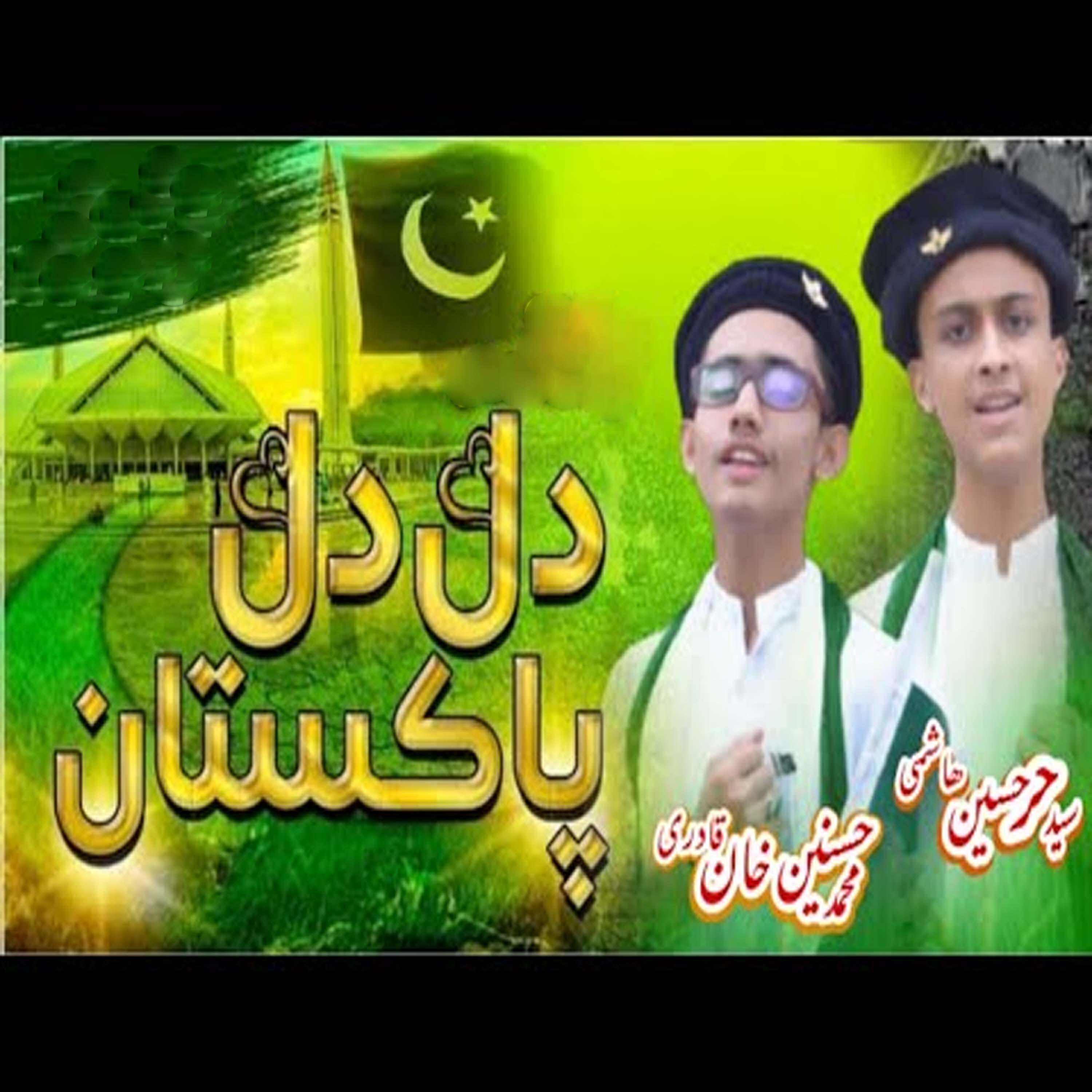 Syed Hurr Hussain Hashmi - Dil Dil Pakistan