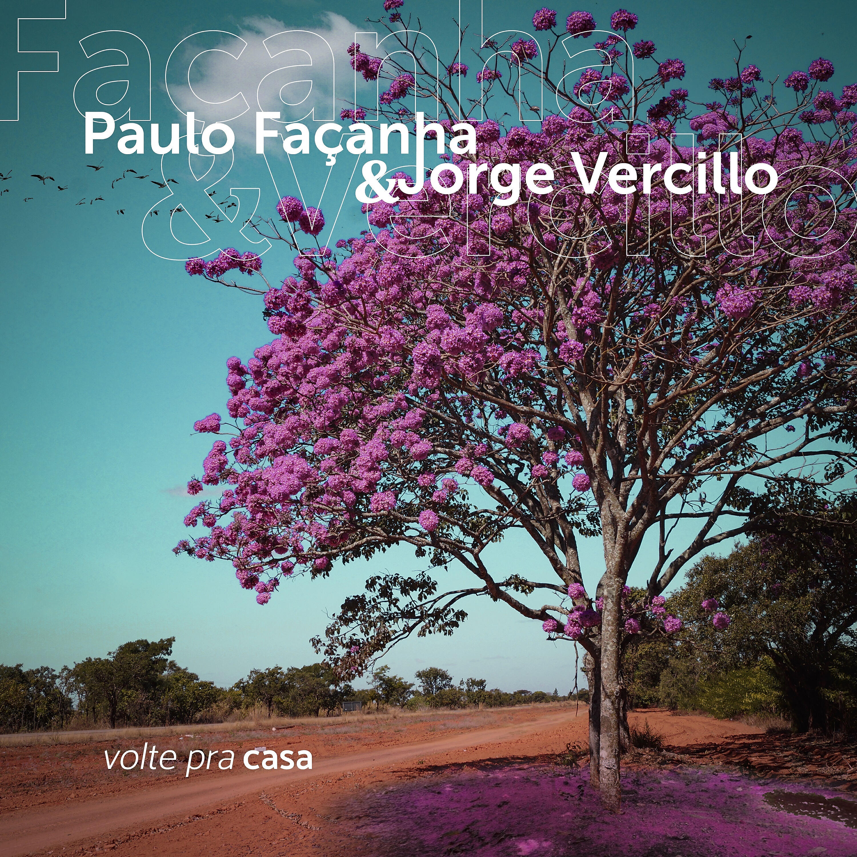 Jorge Vercillo - Volte Pra Casa