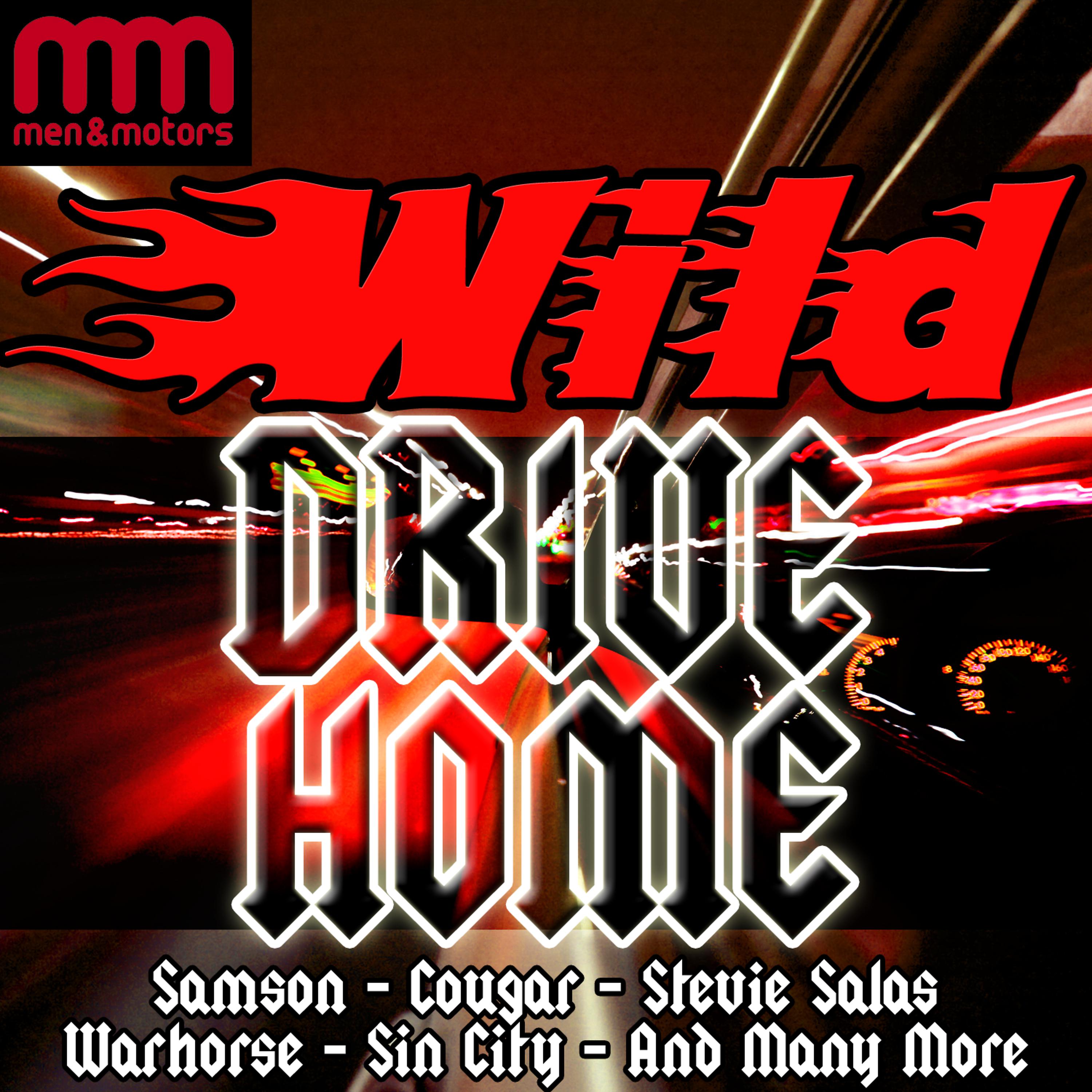 Постер альбома Wild Drive Home