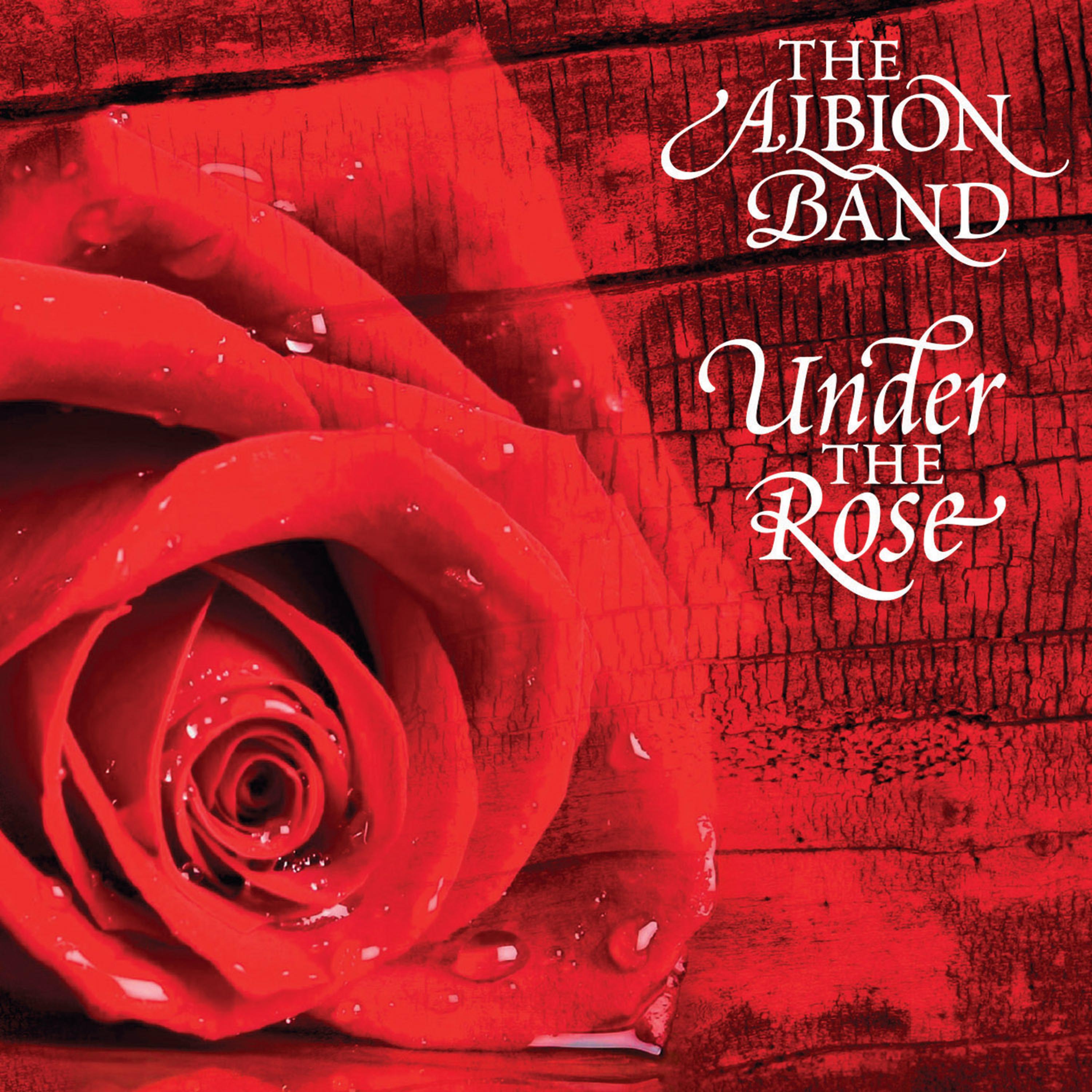 Постер альбома Under the Rose