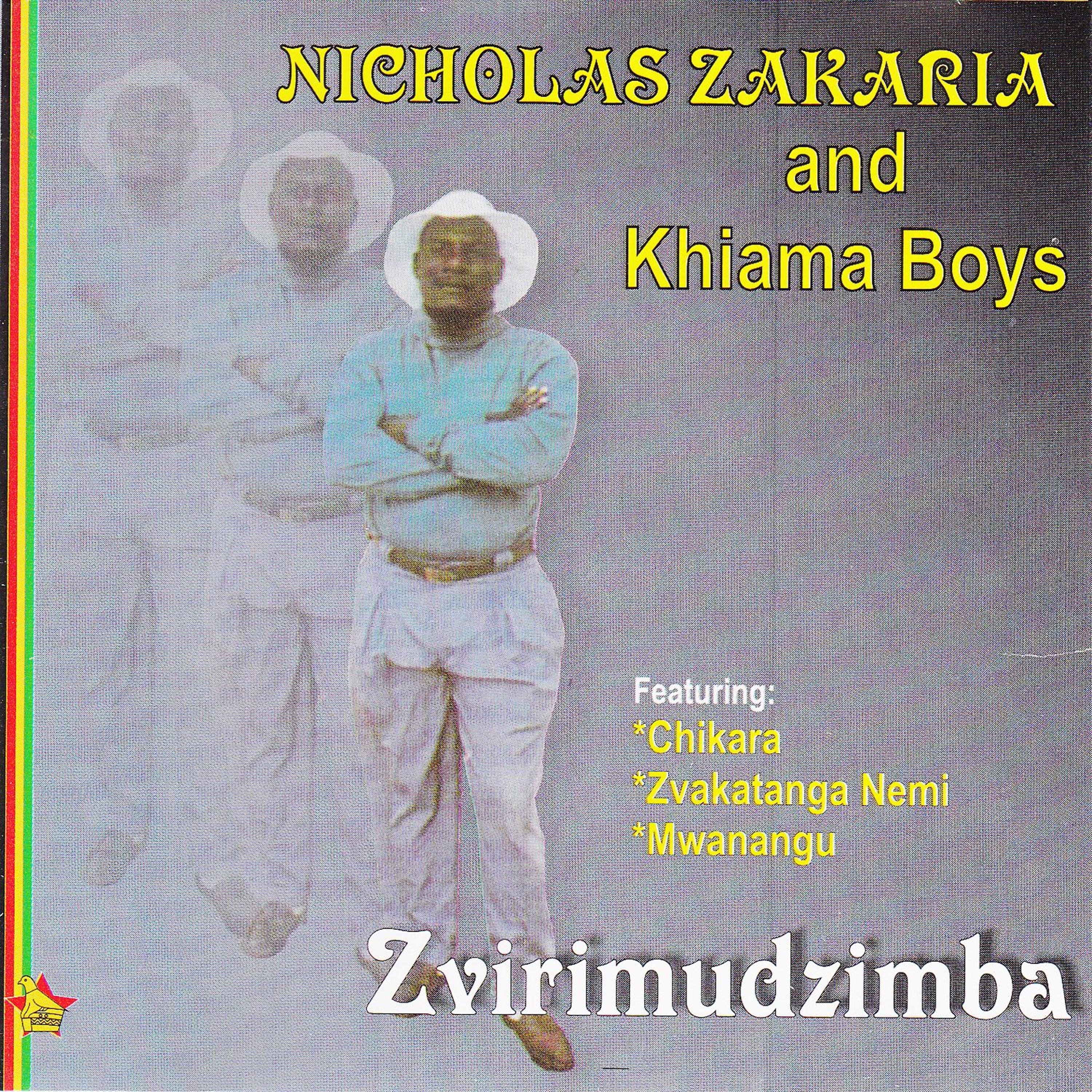 Постер альбома Zvirimudzimba