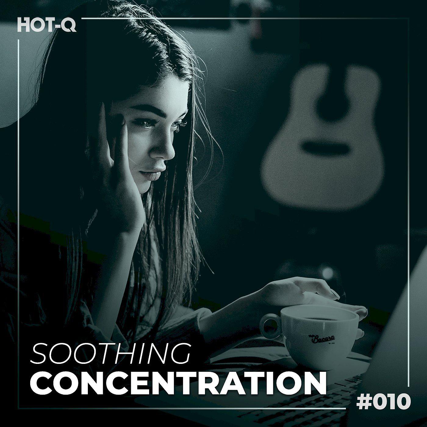 Постер альбома Soothing Concentration 010