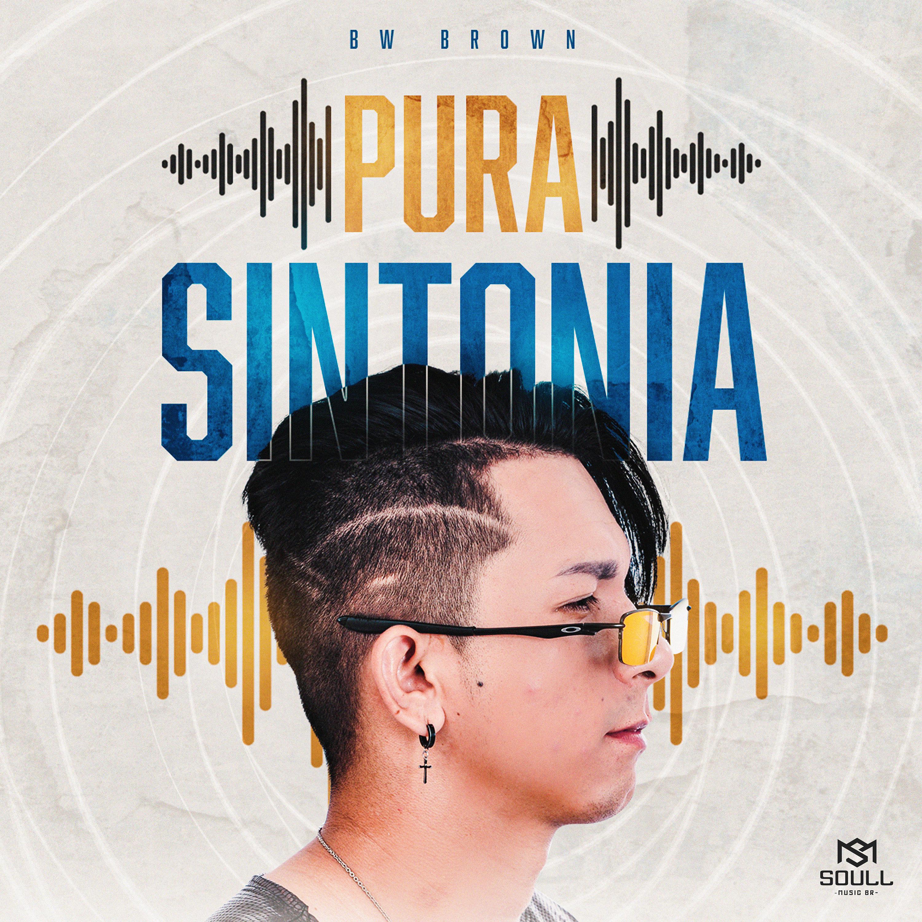 Постер альбома Pura Sintonia