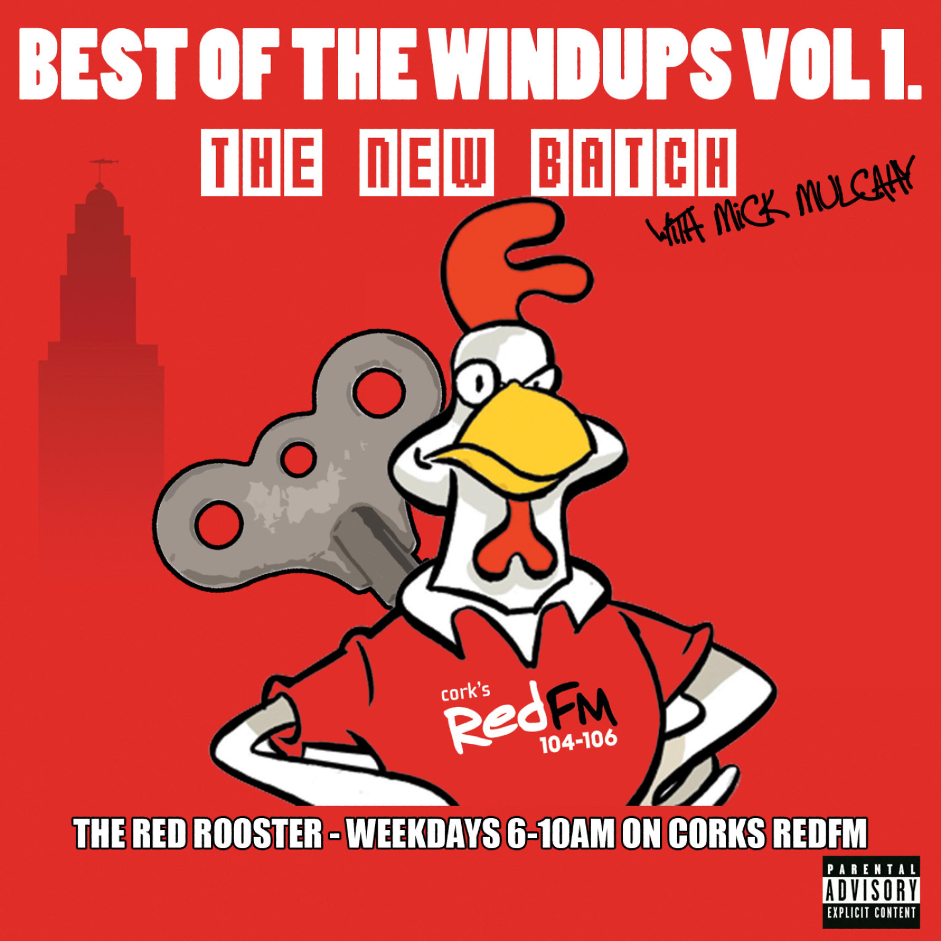 Постер альбома Best Of The Windups Volume 1 (with Mick Mulcahy)