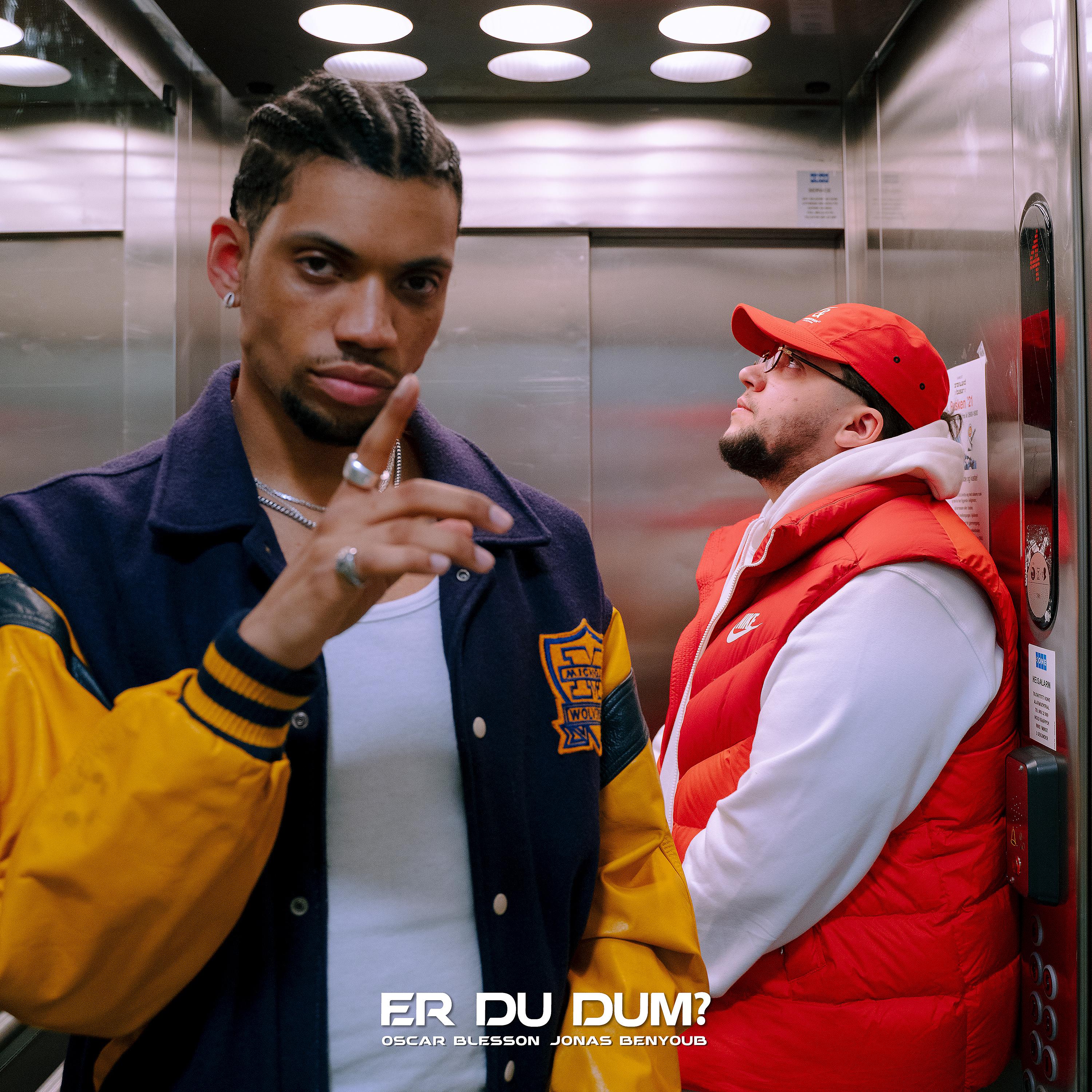 Постер альбома Er Du Dum? (feat. Jonas Benyoub)