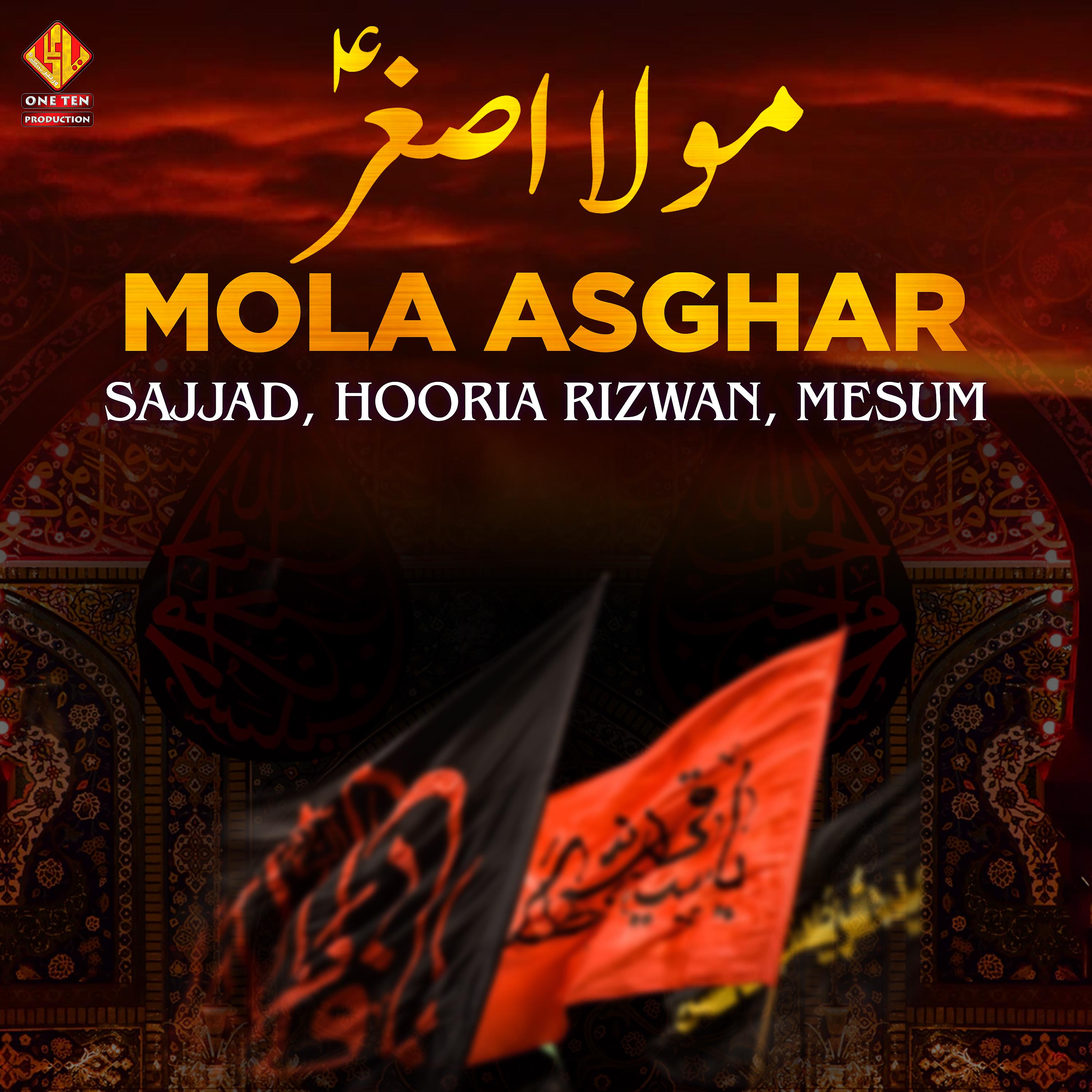 Постер альбома Mola Asghar - Single