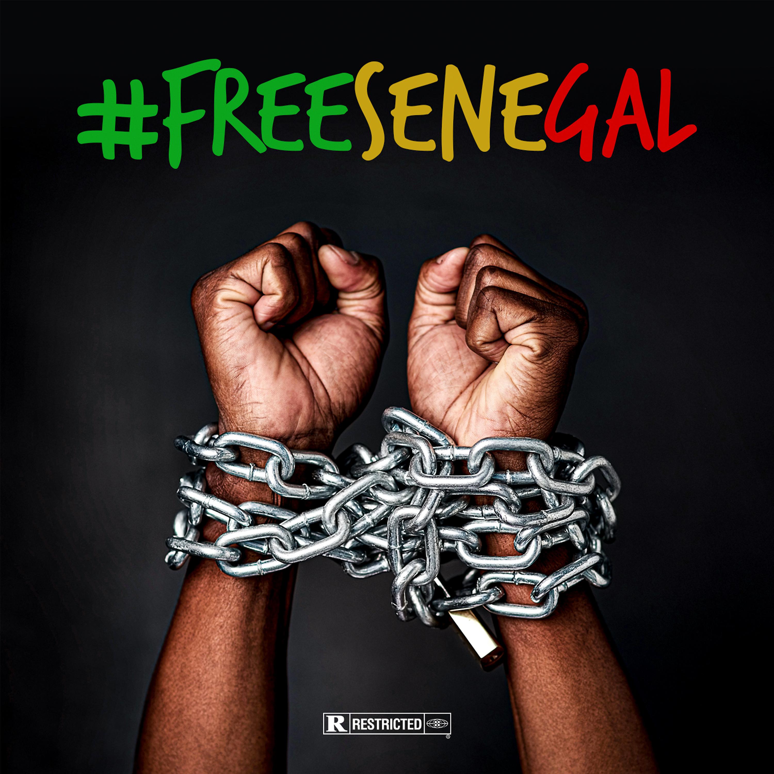 Постер альбома #FreeSenegal