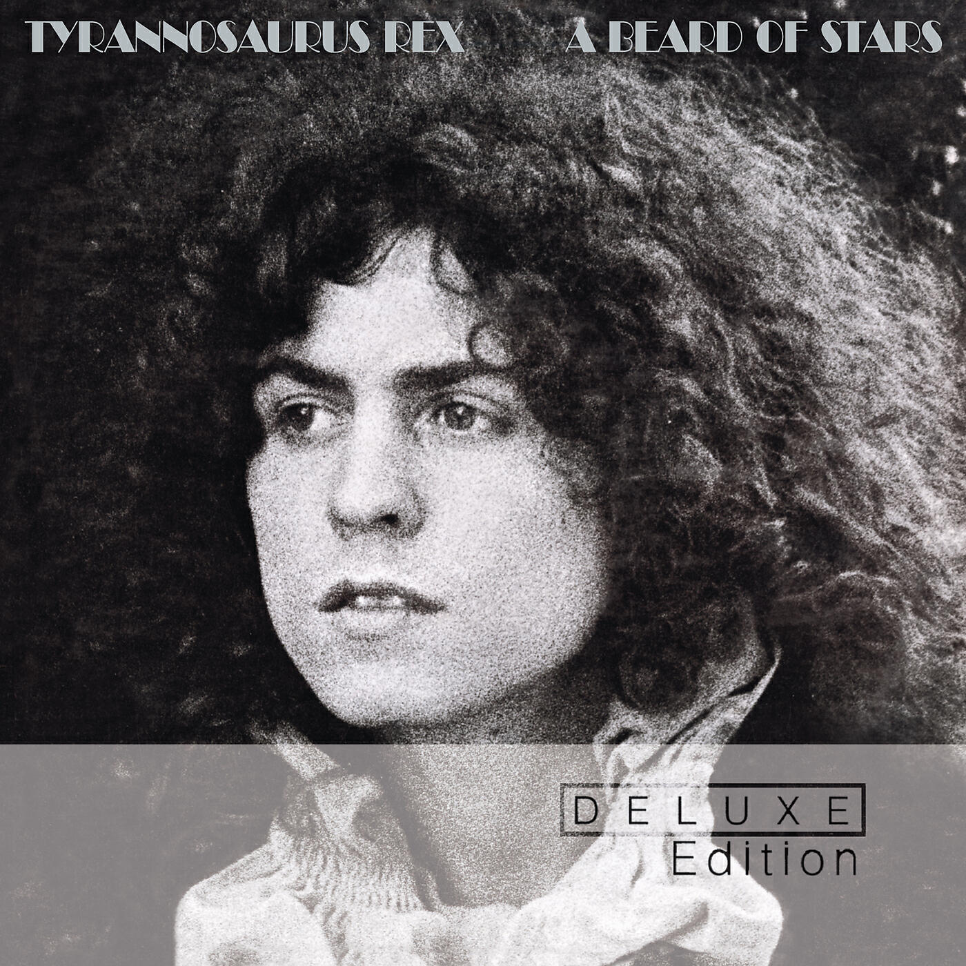 Tyrannosaurus Rex - Woodland Bop