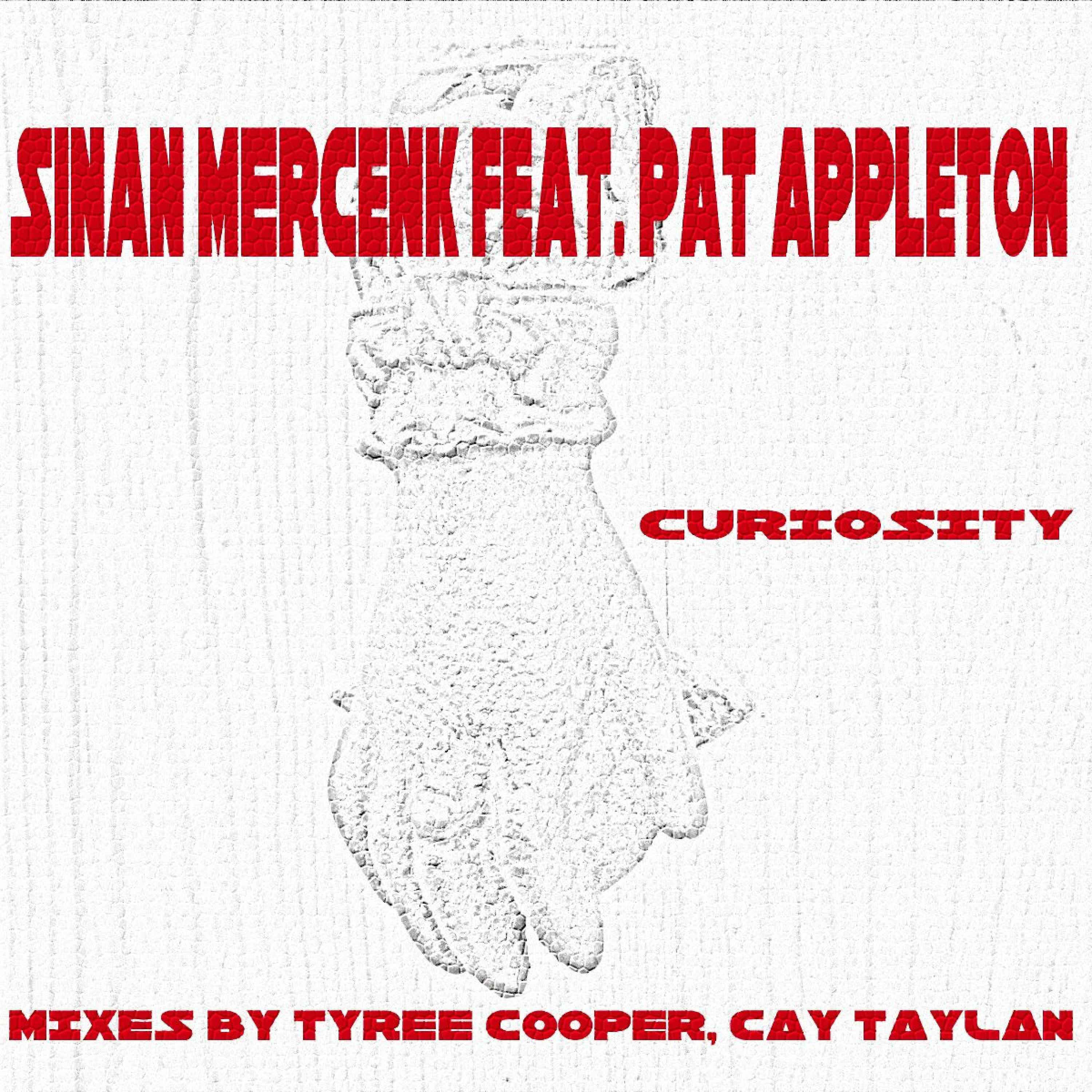 Sinan Mercenk - Curiosity (Tyree Cooper Dub Mix)