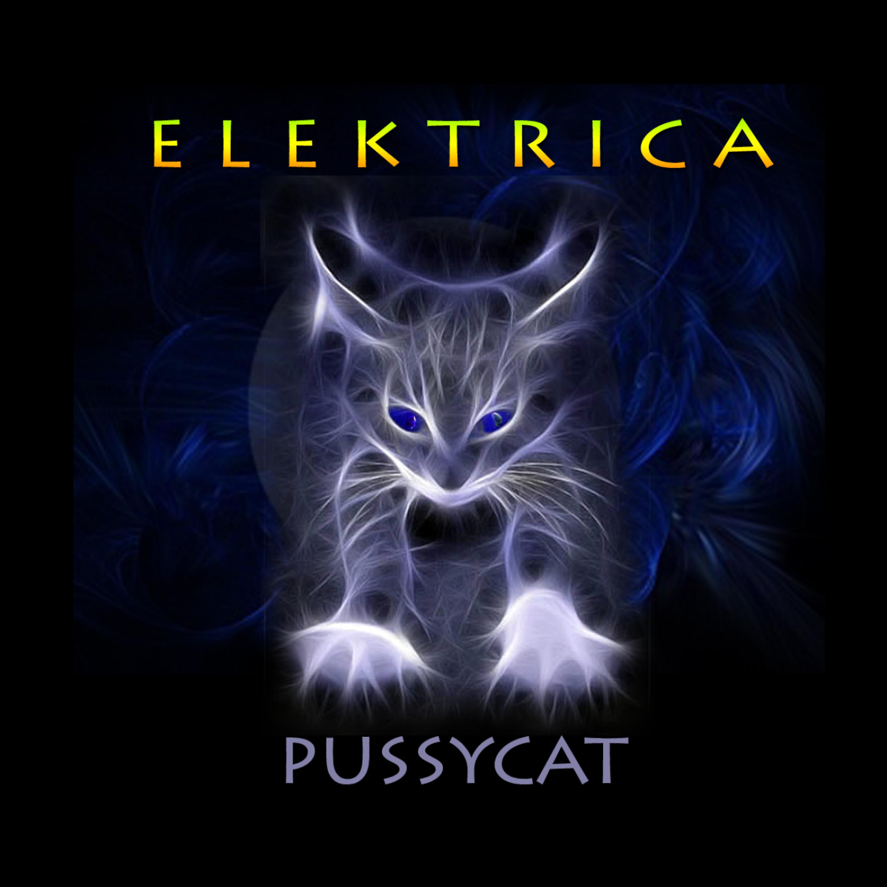 Постер альбома Pussycat
