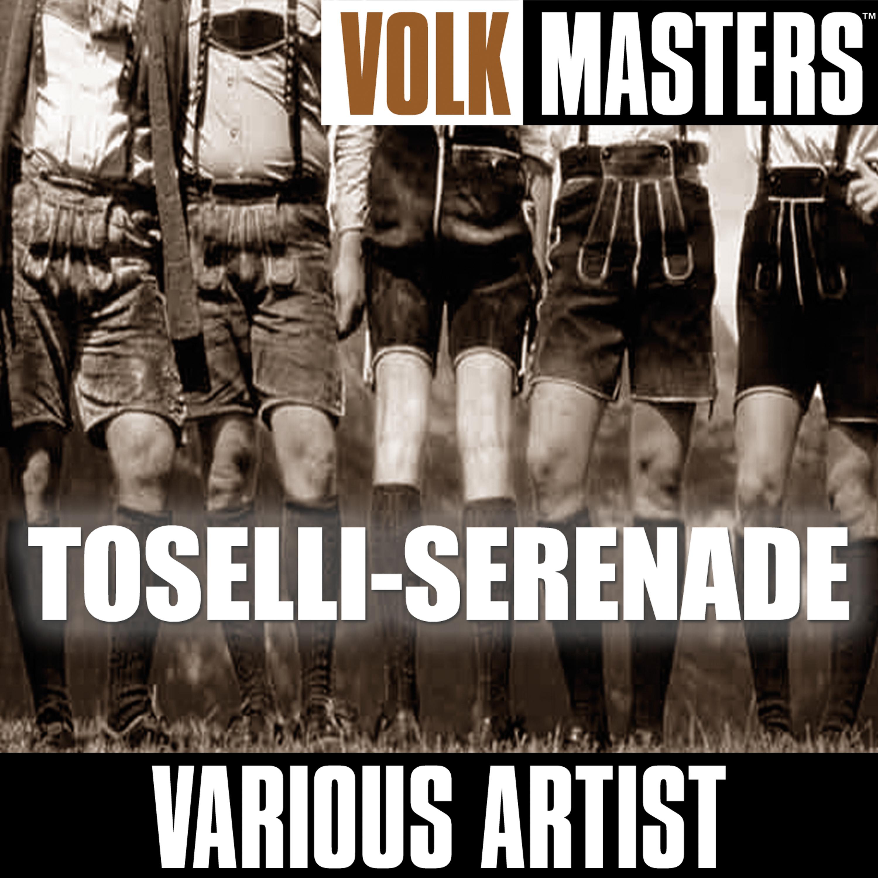 Постер альбома Volk Masters: Toselli-Serenade