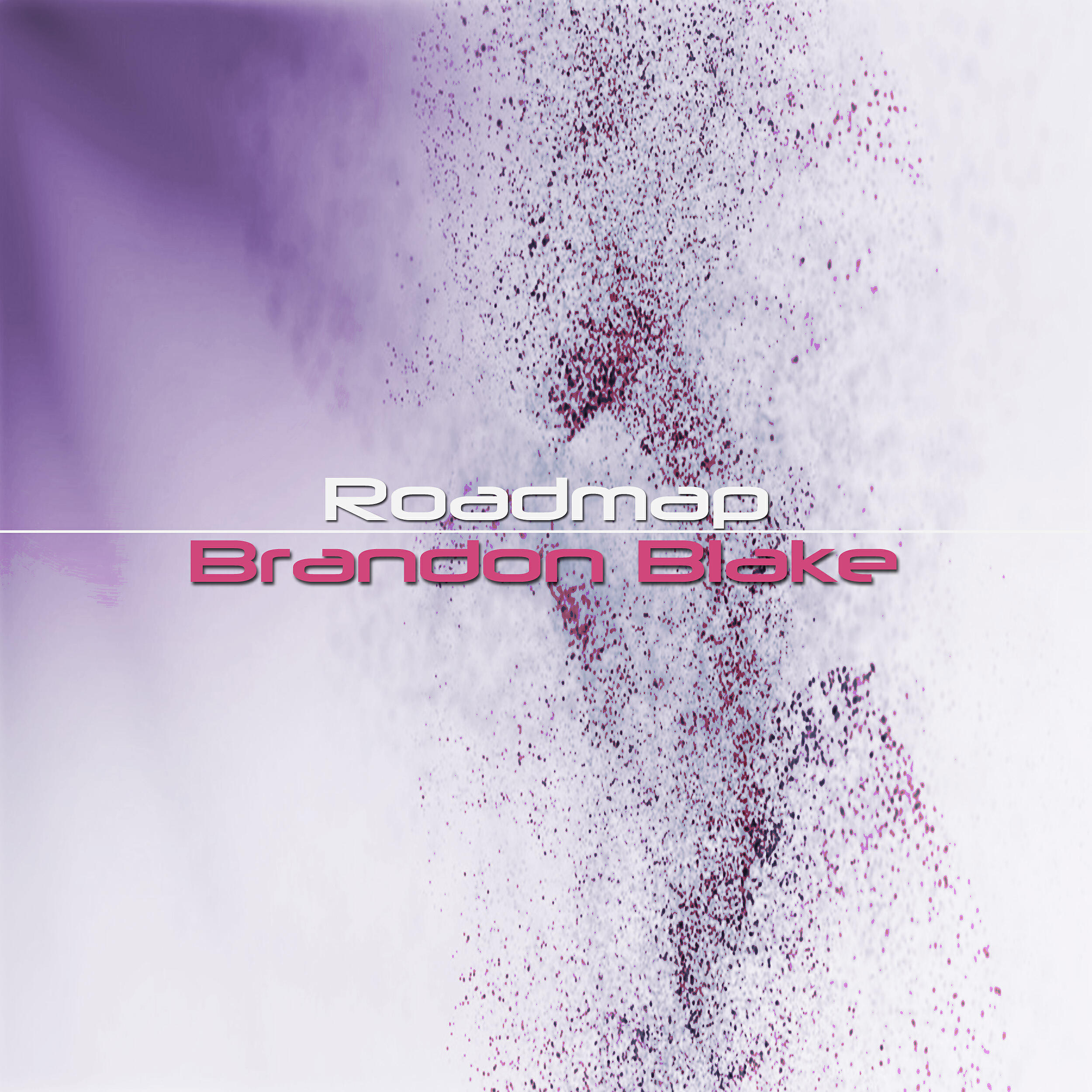 Brandon Blake - Roadmap