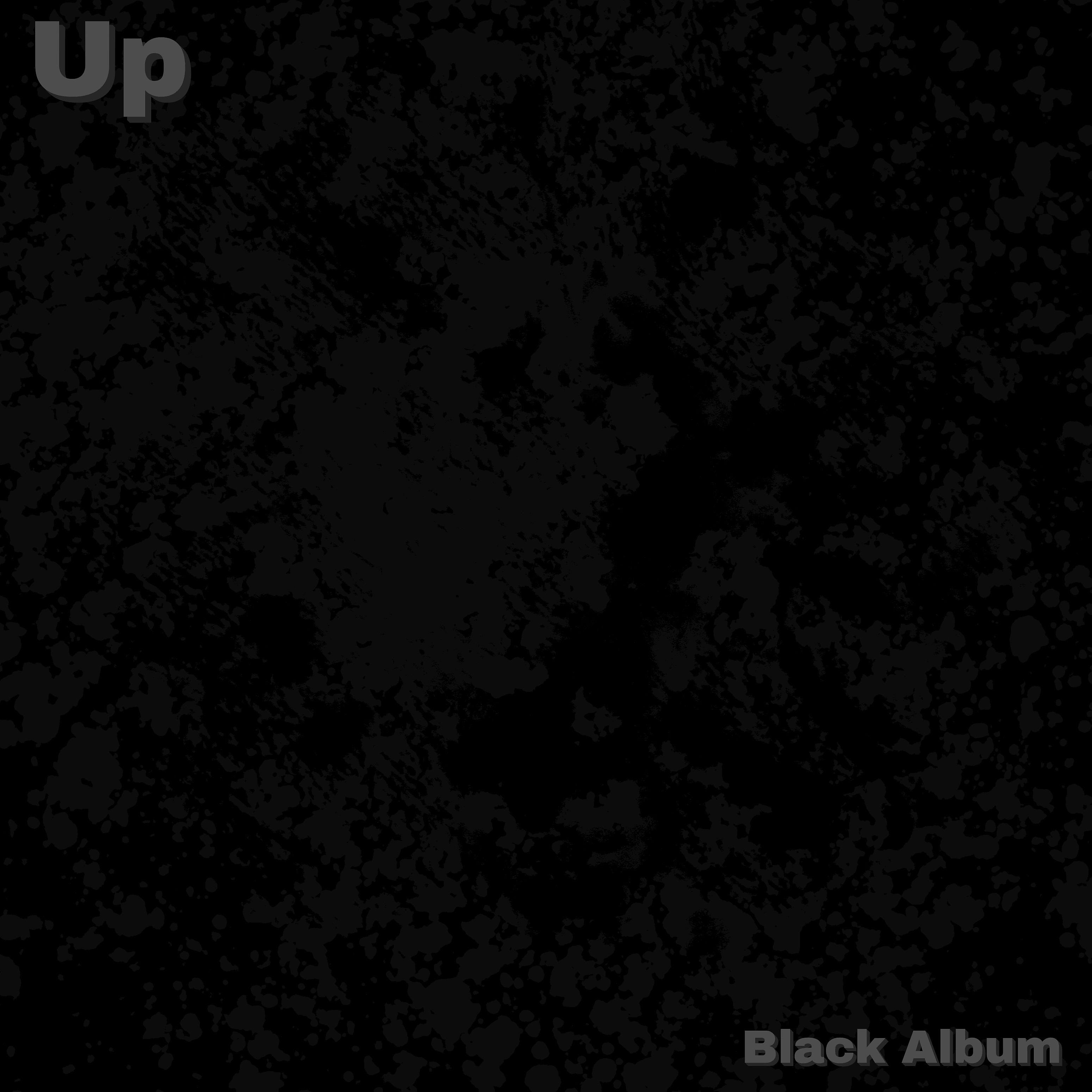 Постер альбома Black Album