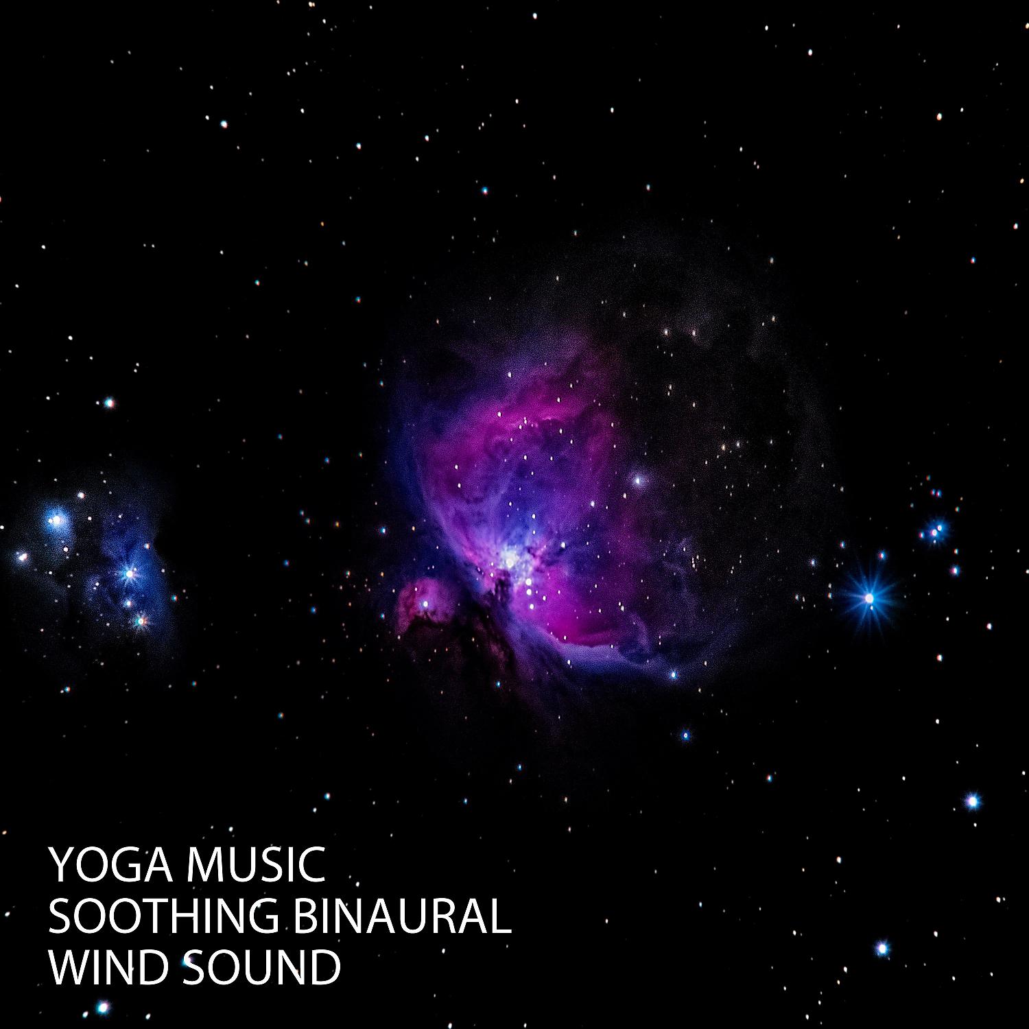 Постер альбома Yoga Music: Soothing Binaural Wind Sound