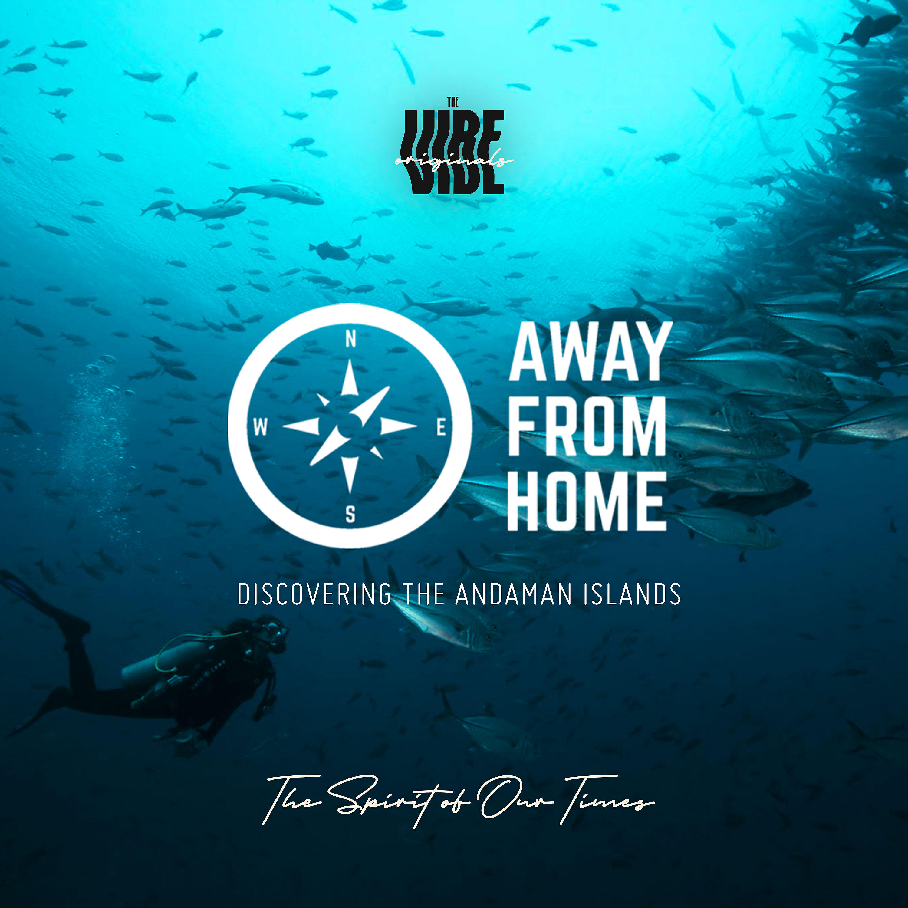 TheVibe - Avis Island Blues