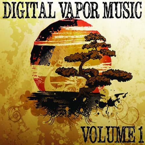 Постер альбома Digital Vapor Music, Vol. 1