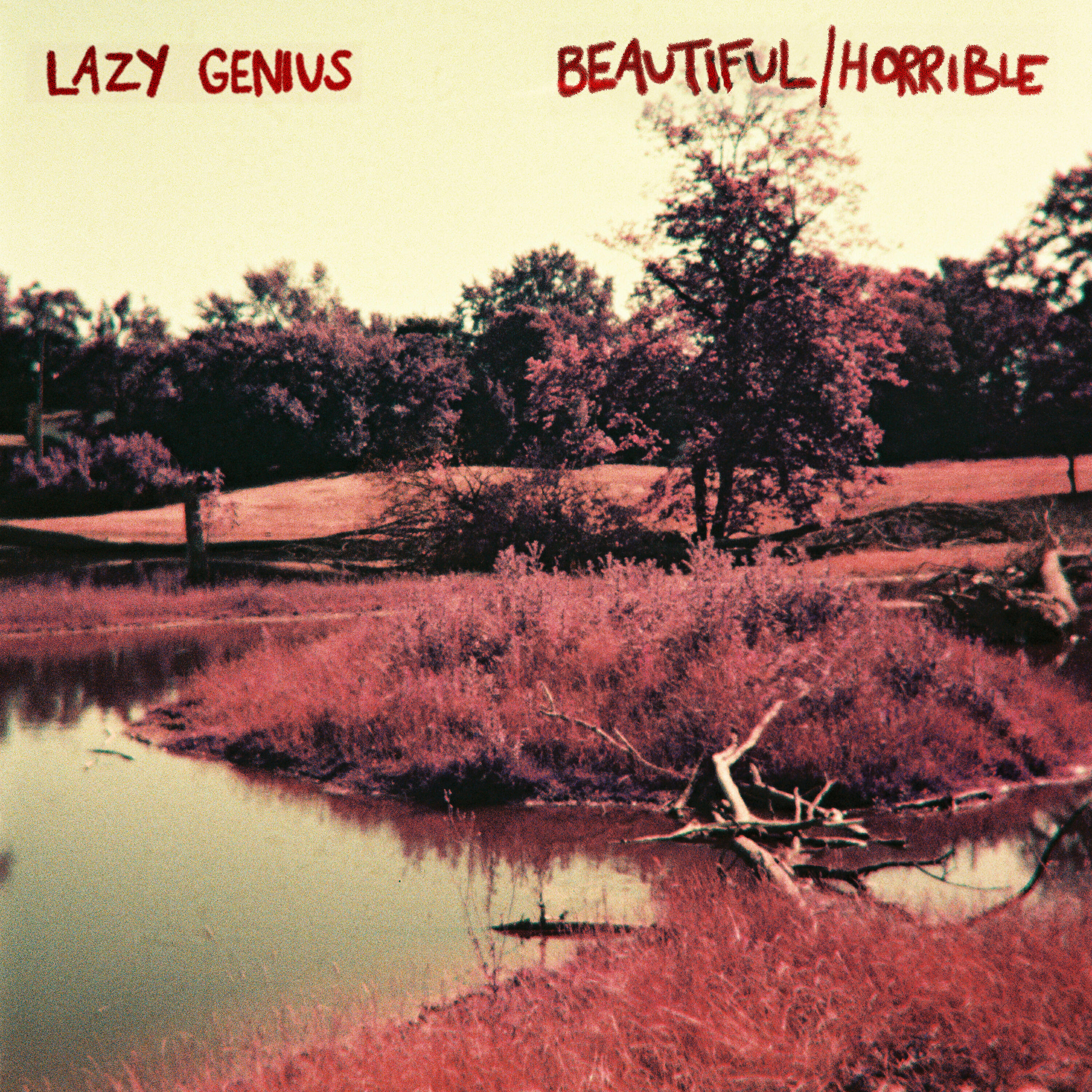 Lazy Genius - Beautiful/Horrible