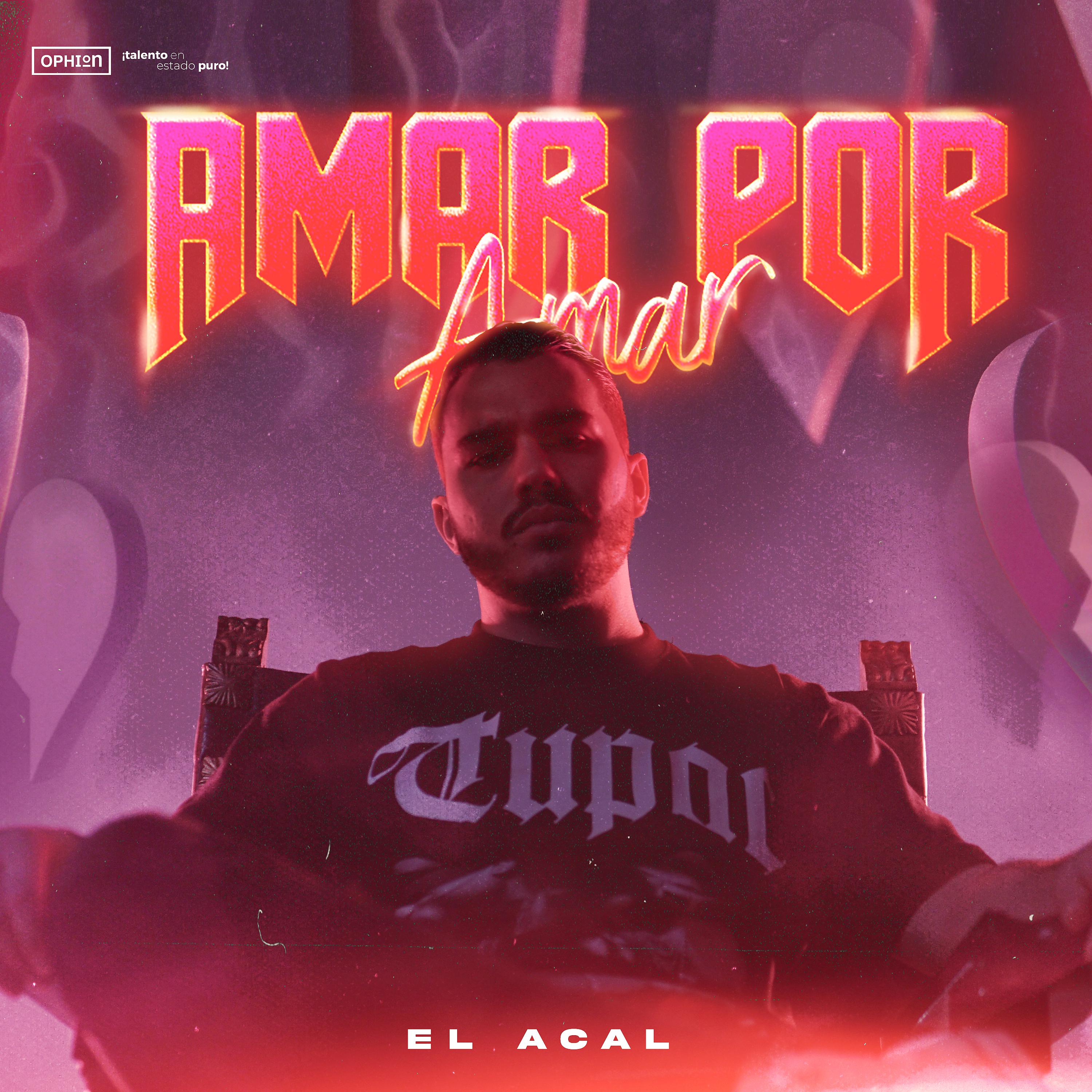 Постер альбома Amar por Amar