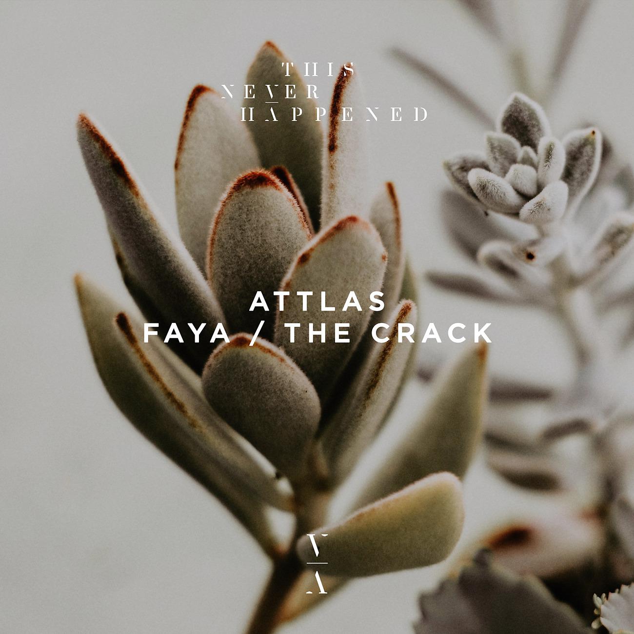 Постер альбома Faya / The Crack