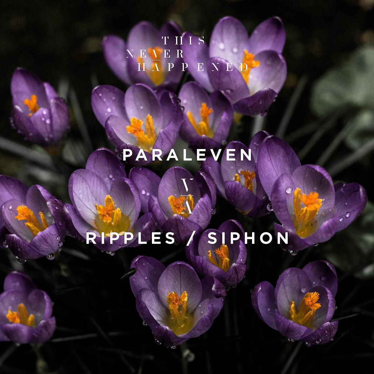 Постер альбома Ripples / Siphon