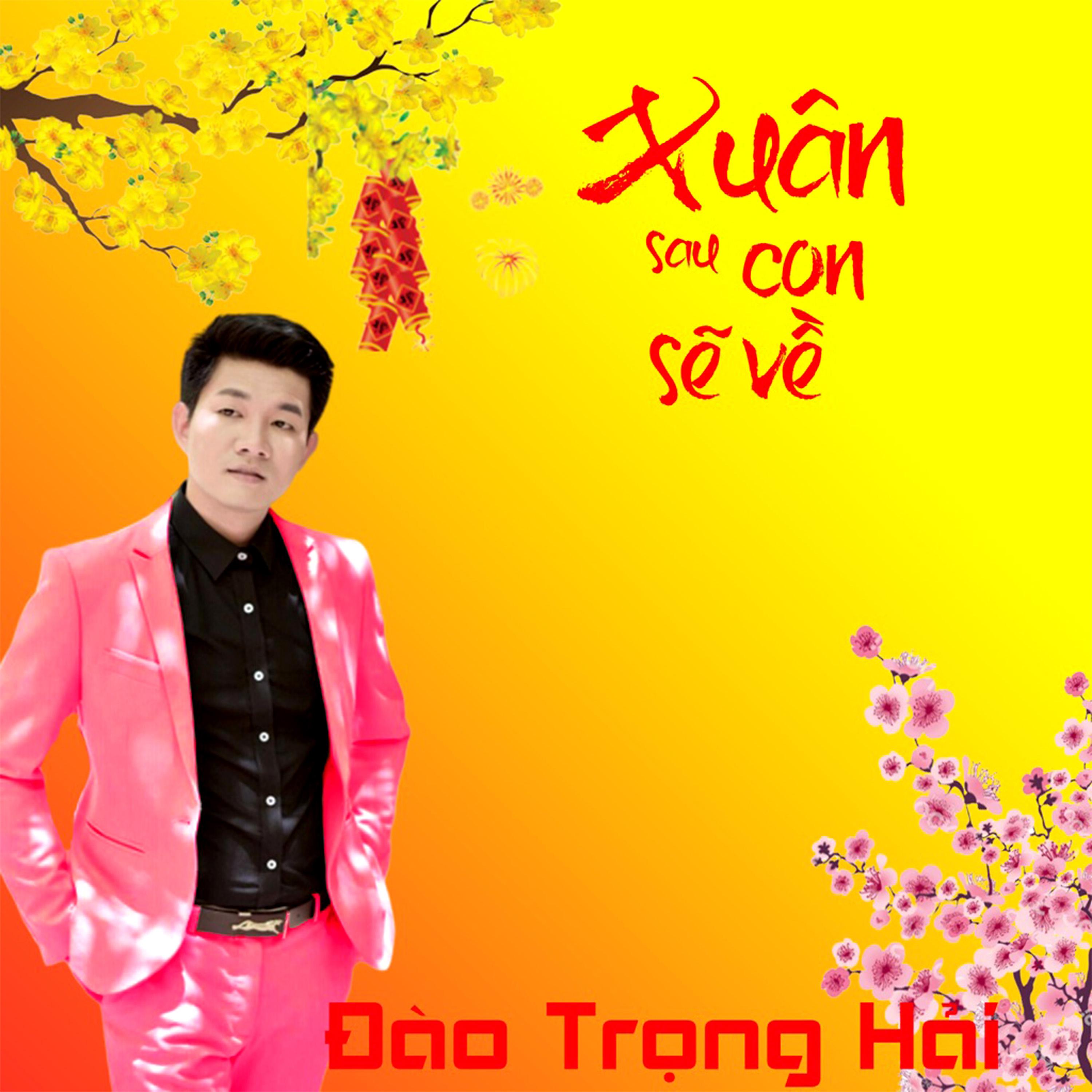 Постер альбома Xuân Sau Con Sẽ Về
