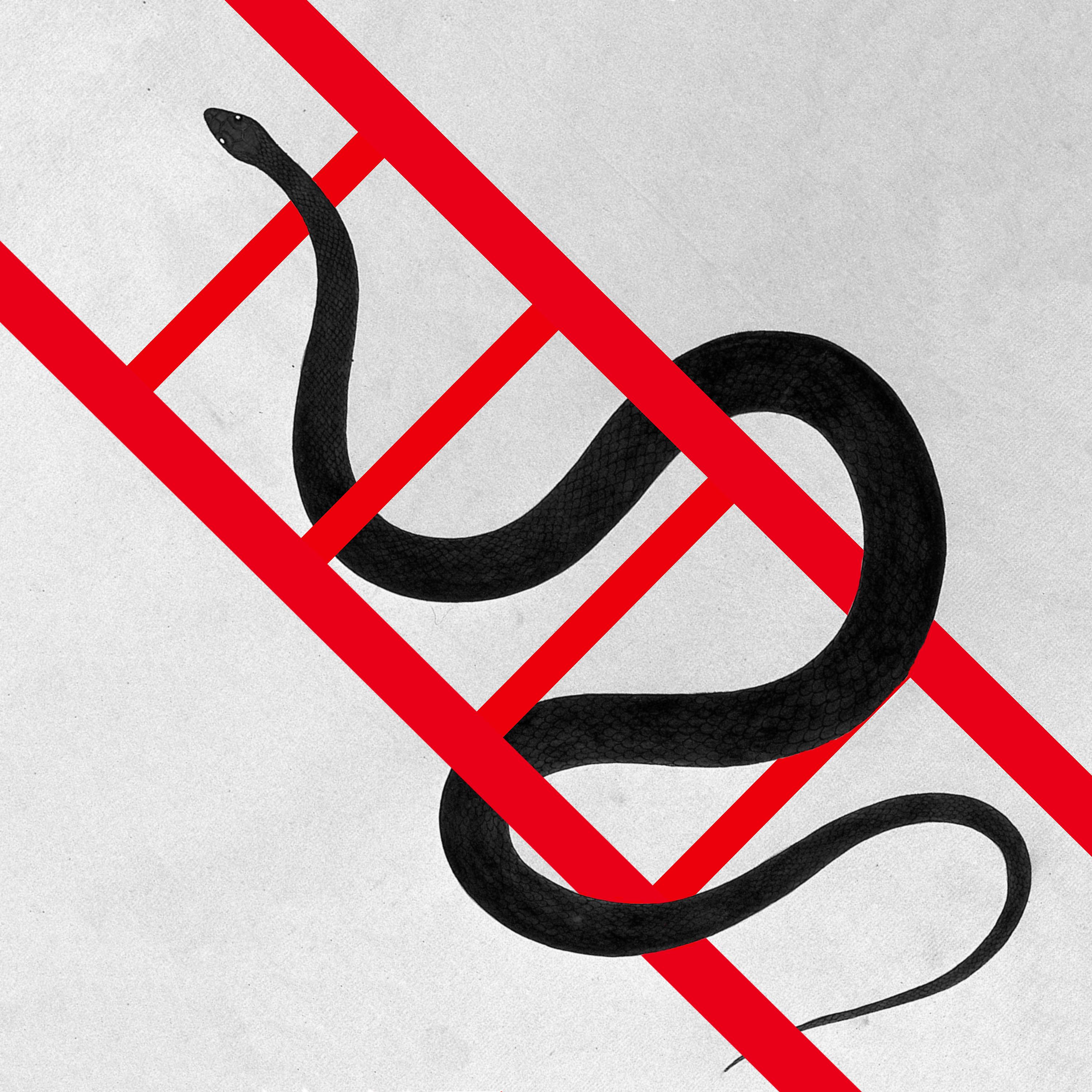 Постер альбома Käärmeet ja tikapuut