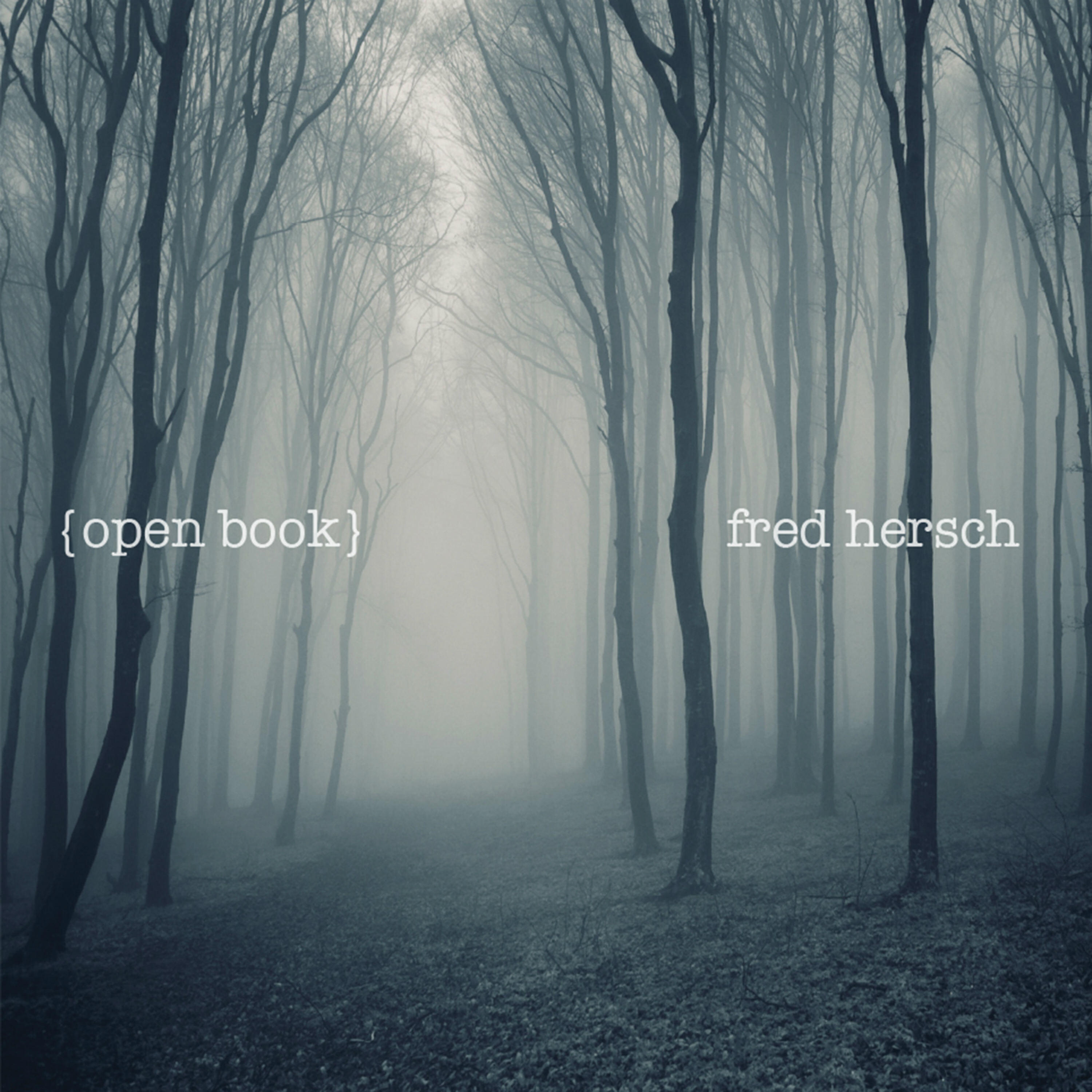 FRED HERSCH - Through the Forest