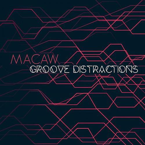 Macaw - One Shot