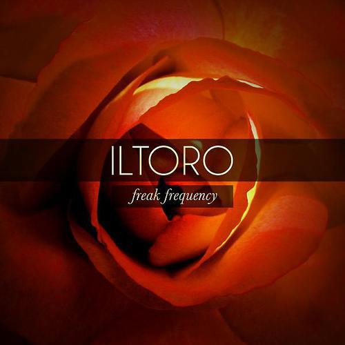 Iltoro - High Frequency Low Salary