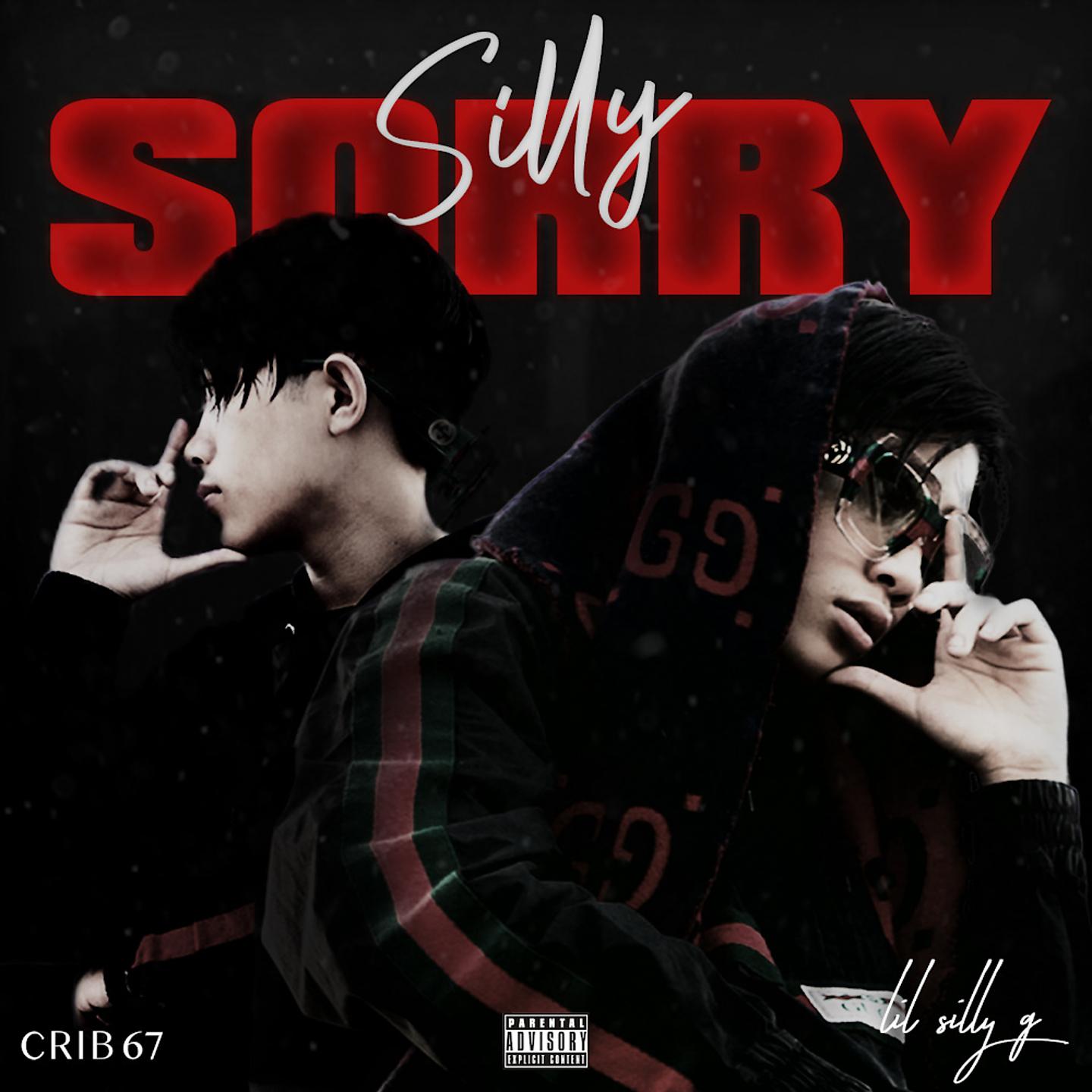 Постер альбома Silly Sorry