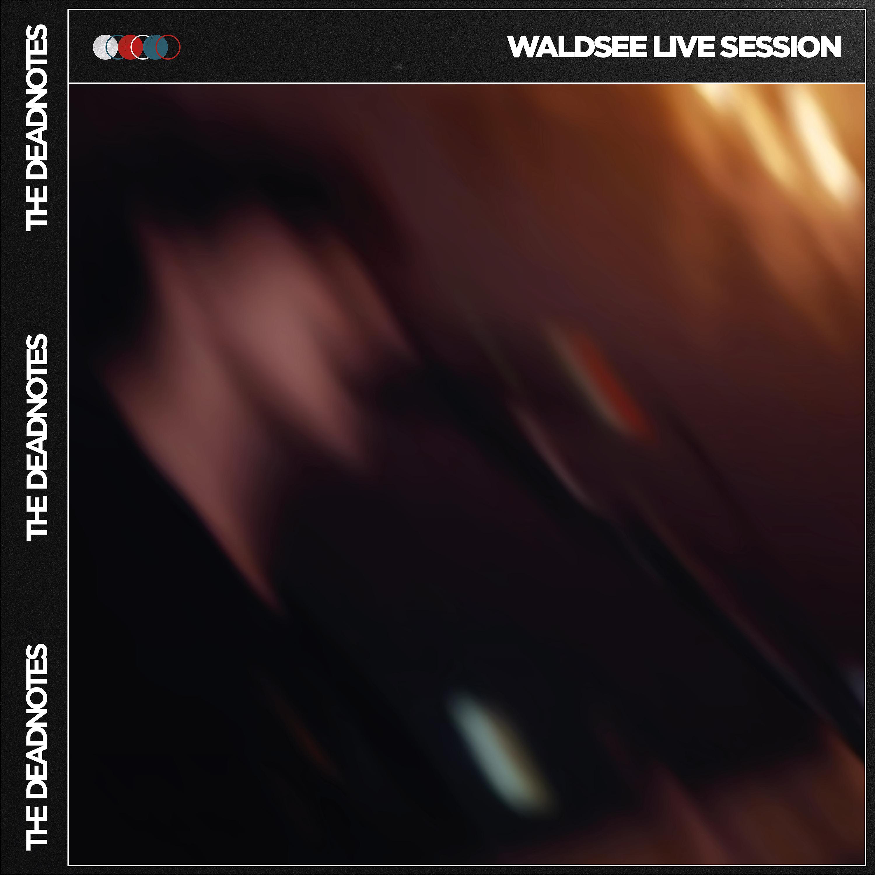 Постер альбома Waldsee Live Session