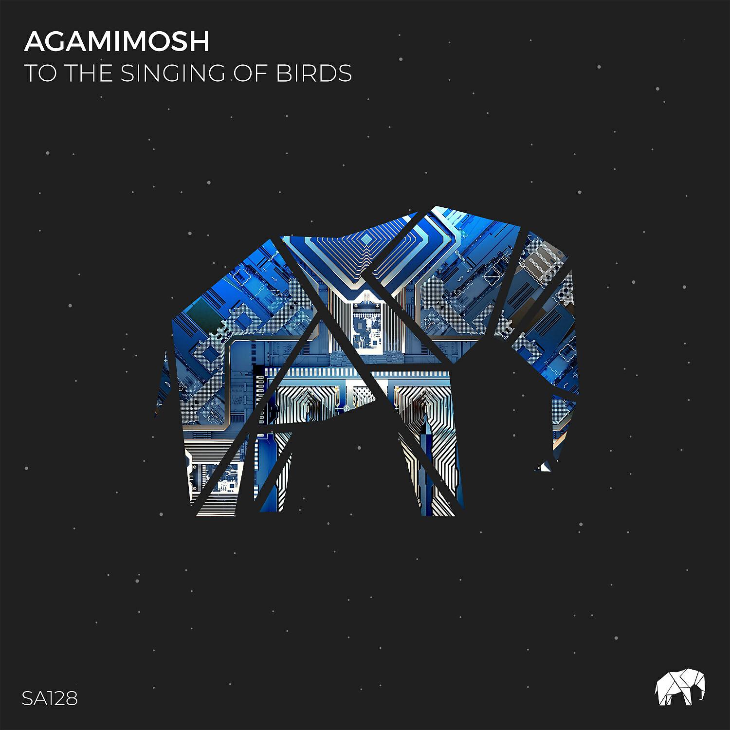 Agami Mosh - Twelve (Original Mix)