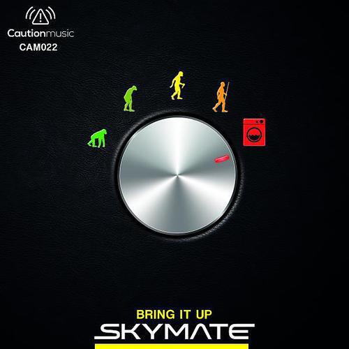Skymate - Dream