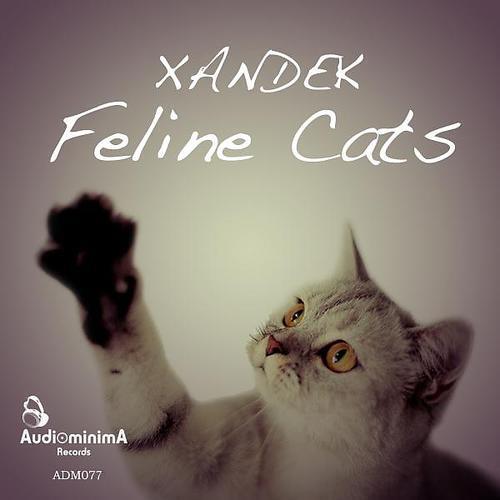 Xandek - Feline Cats