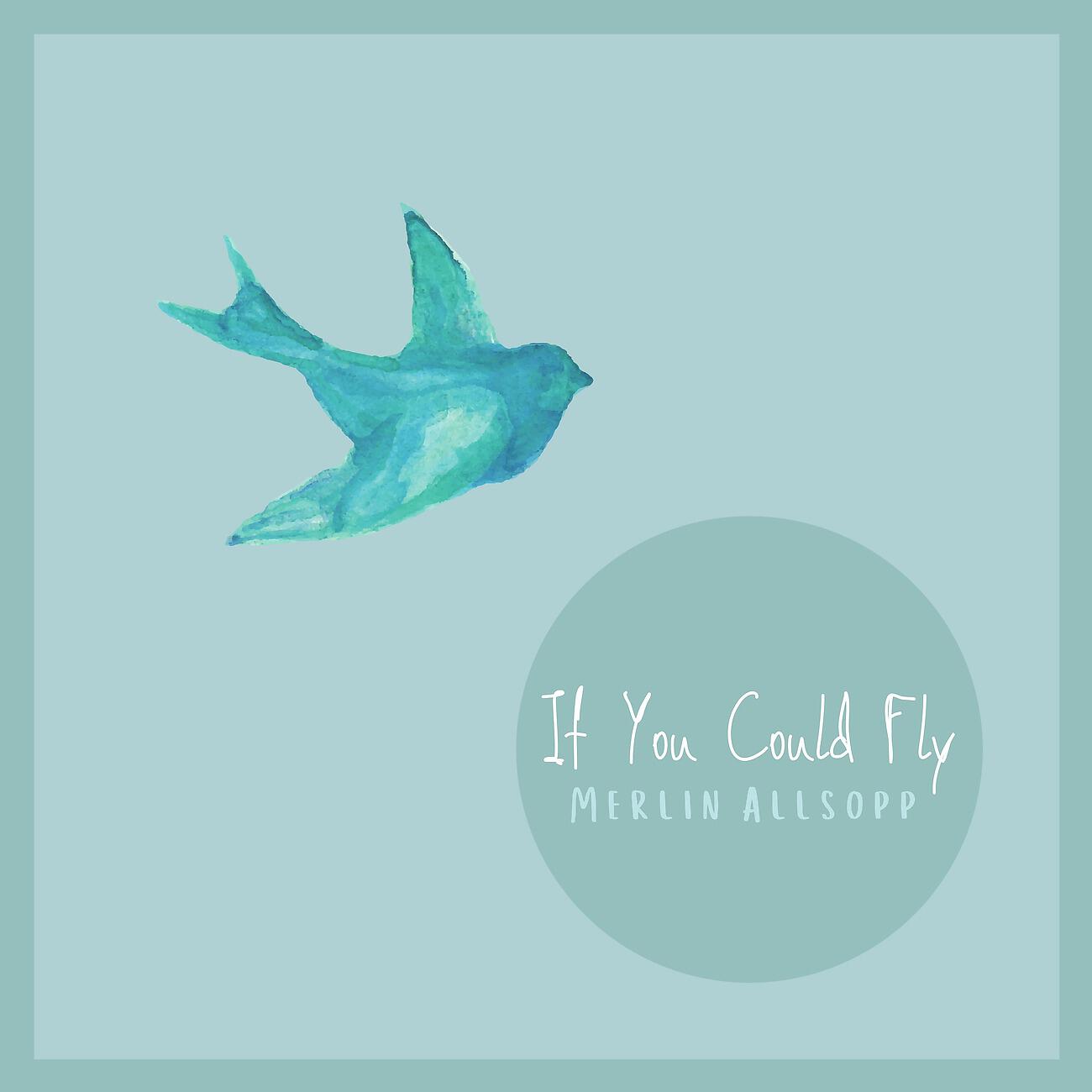 Merlin Allsopp - If you could fly
