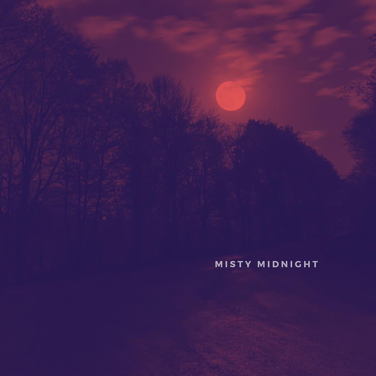 Постер альбома Misty Midnight