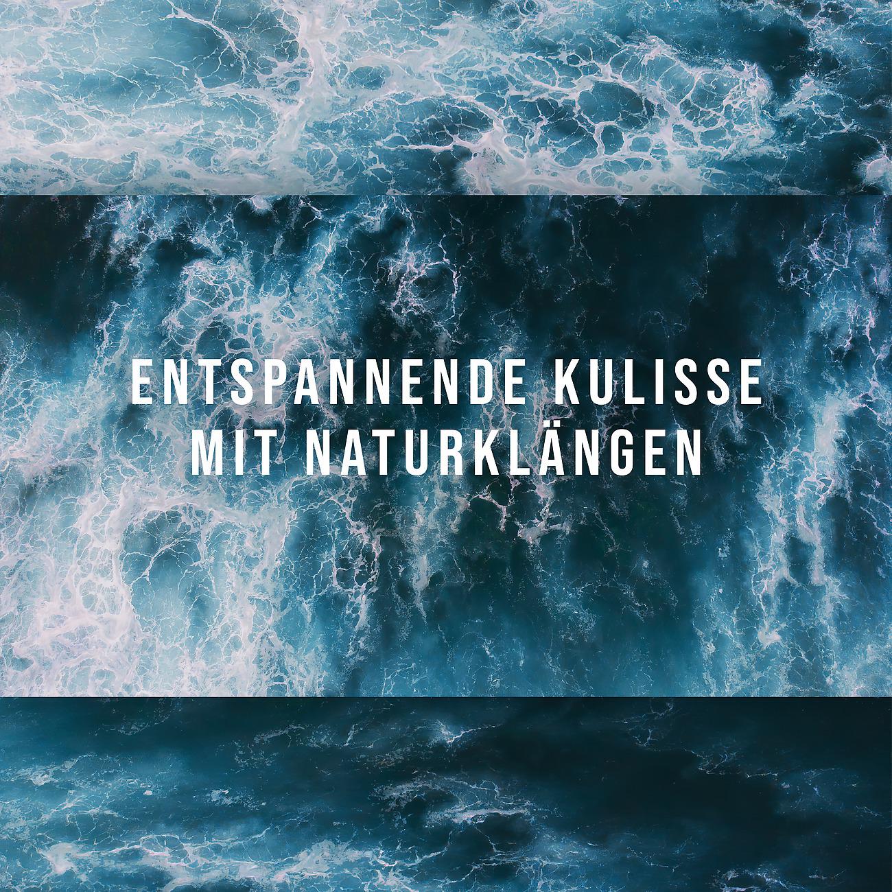 Постер альбома Entspannende Kulisse mit Naturklängen