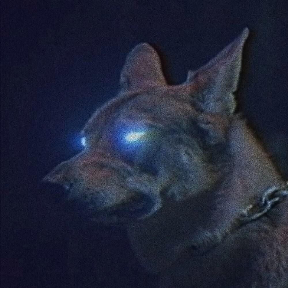 SPVRROW - Underdogs 2