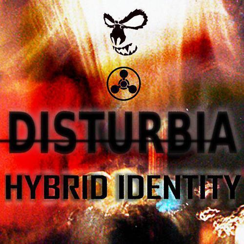 Постер альбома Hybrid identity