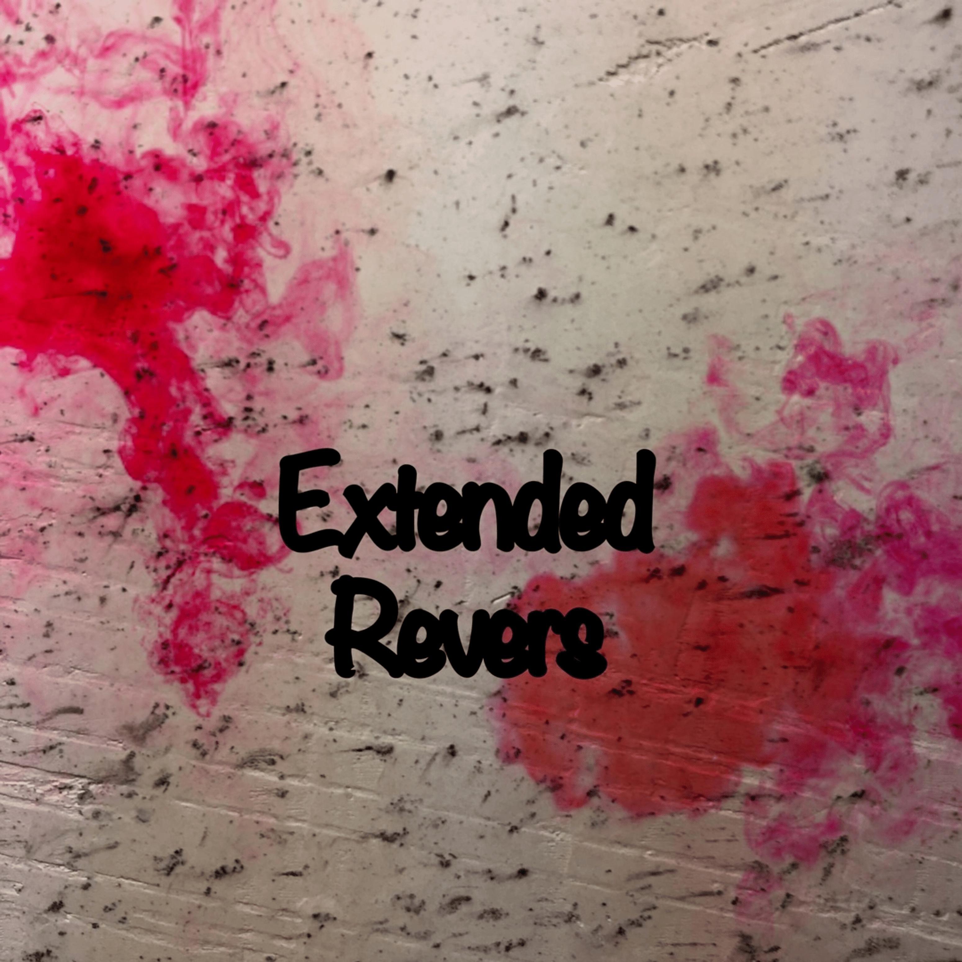 Постер альбома Extended Revers