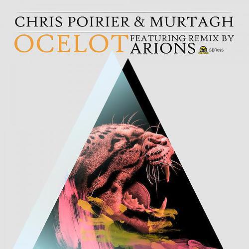 Chris Poirier - Ocelot (Arions Remix)
