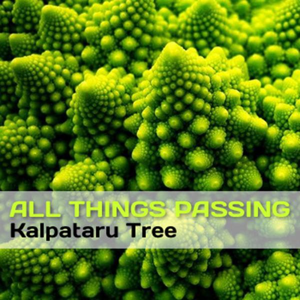 Постер альбома All Things Passing