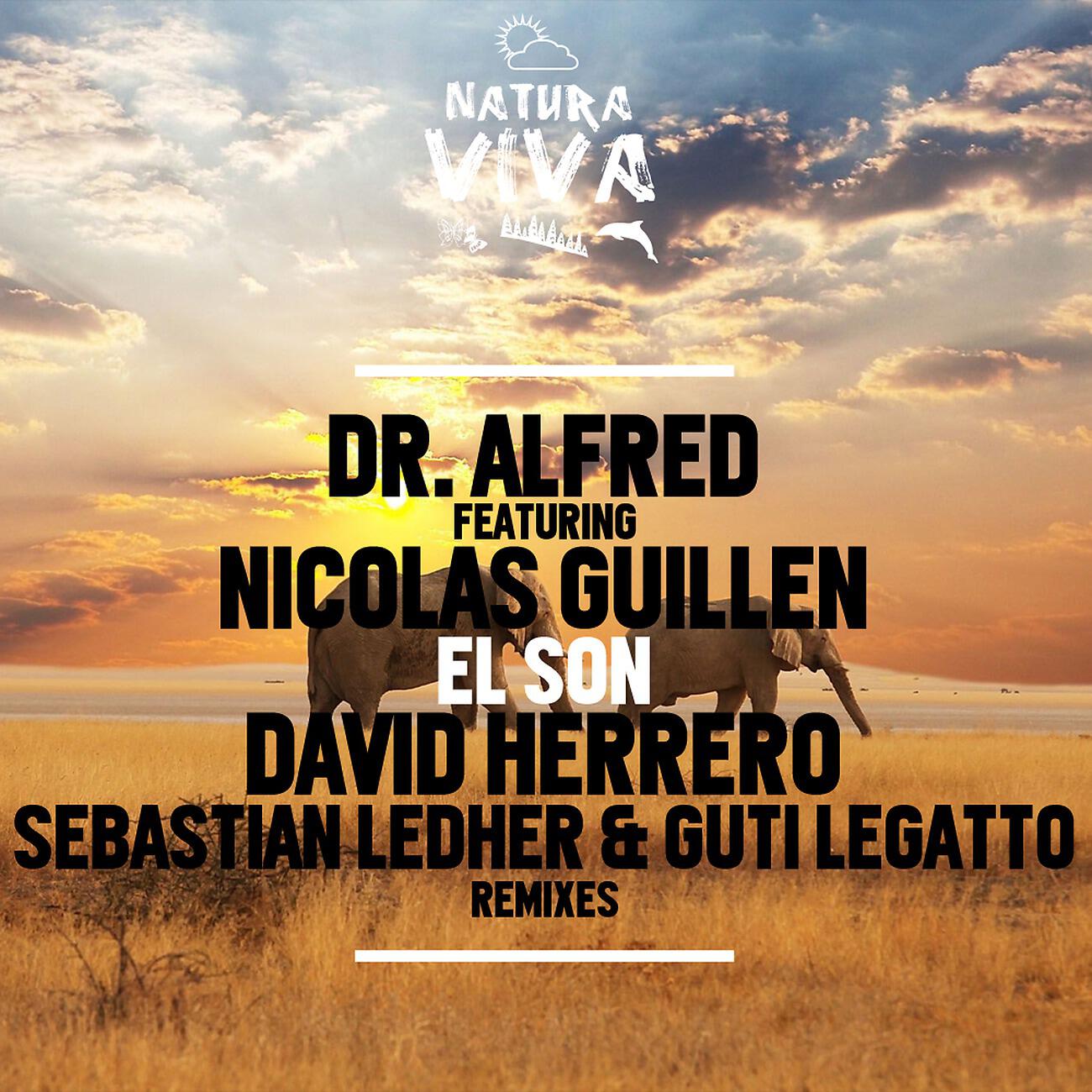 Dr. Alfred - El Son (Sebastian Ledher & Guti Legatto Remix)