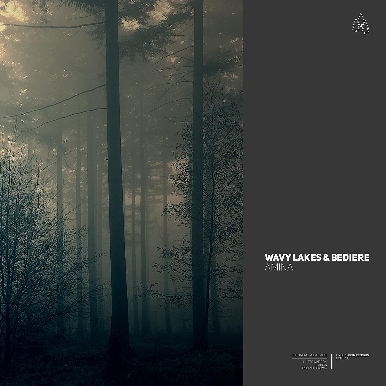 Wavy Lakes - Sendero Digital