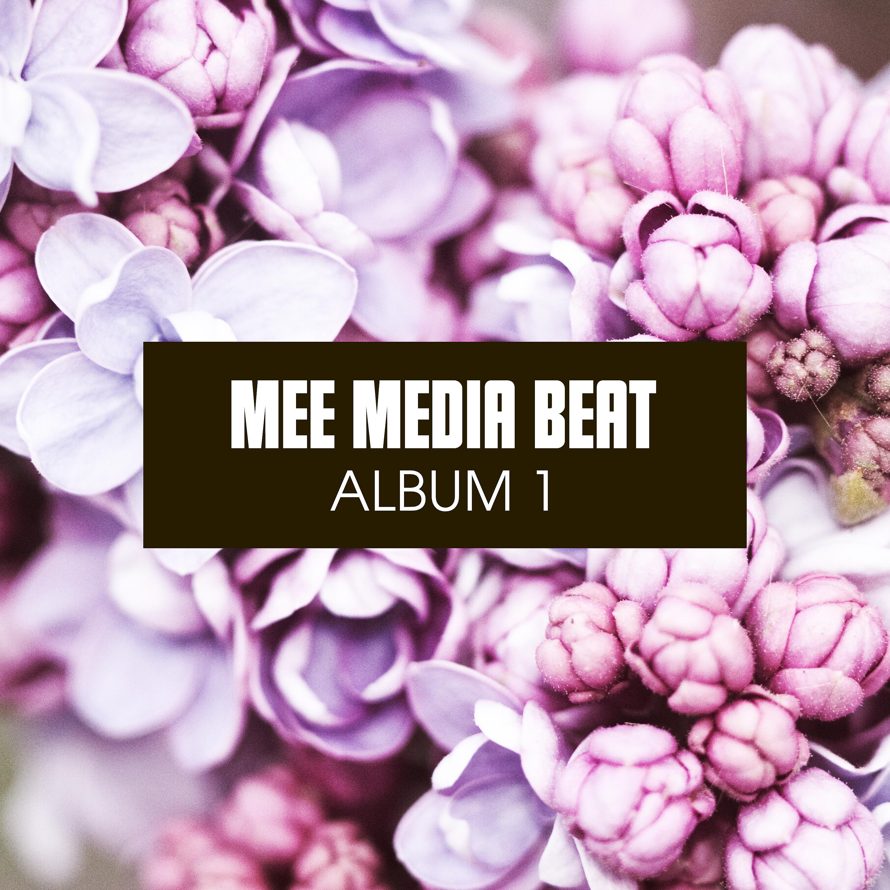 Постер альбома Mee Media Beat