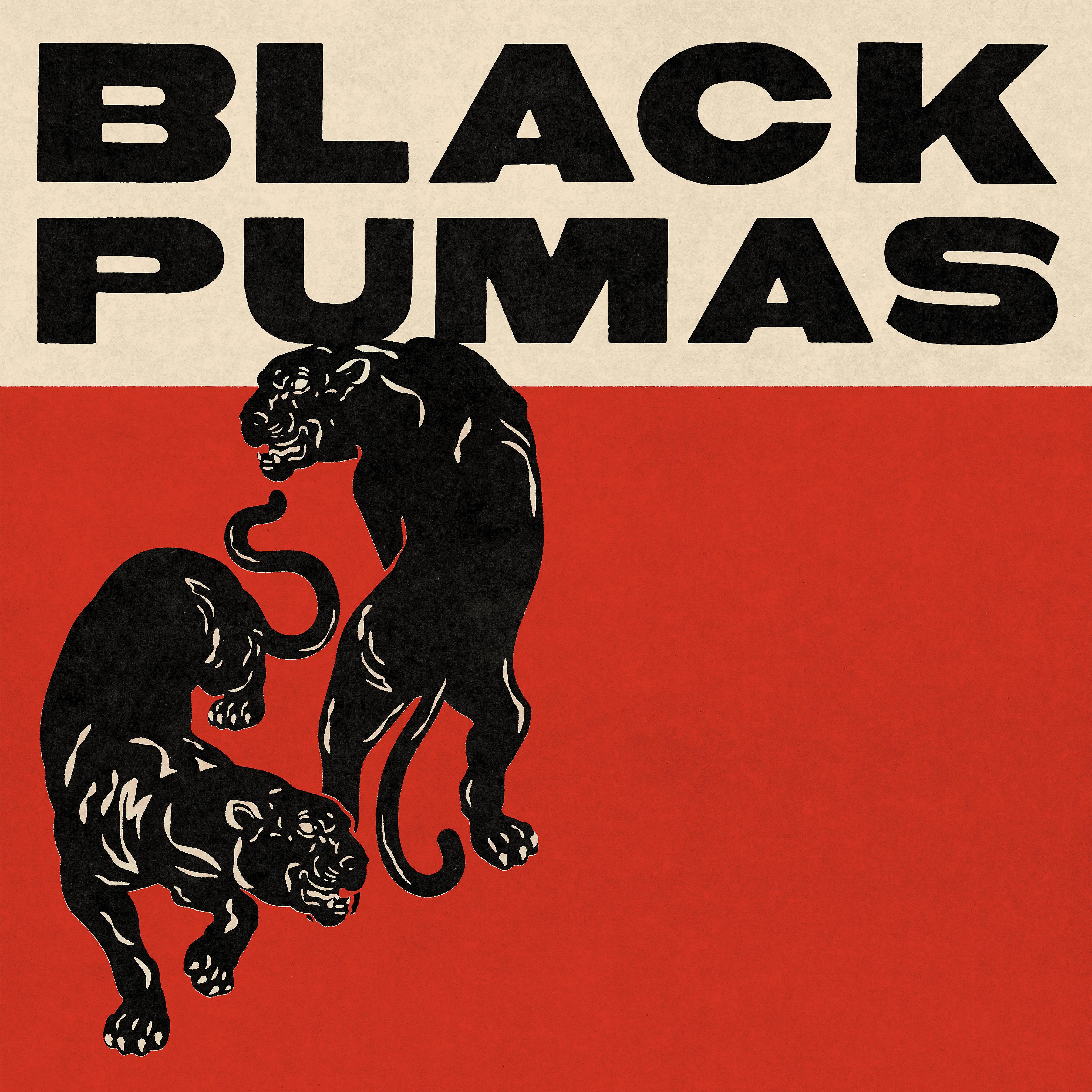 Постер альбома Black Pumas