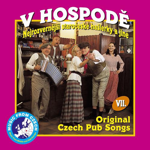 Постер альбома V Hospodě, Vol. 7