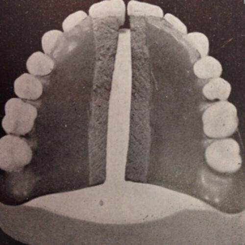 Frits Wentink - Goose