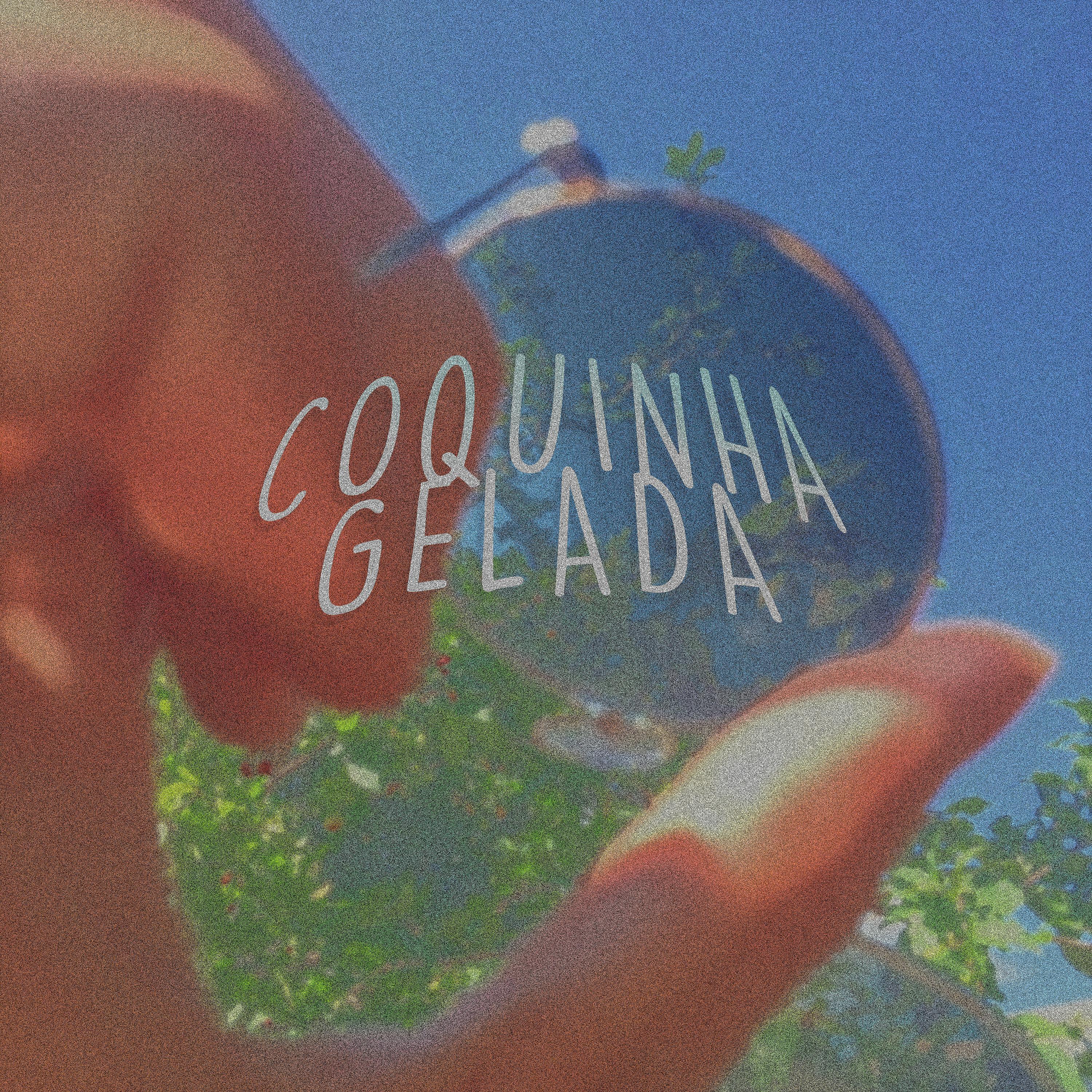 JuiceLuqi - Coquinha Gelada